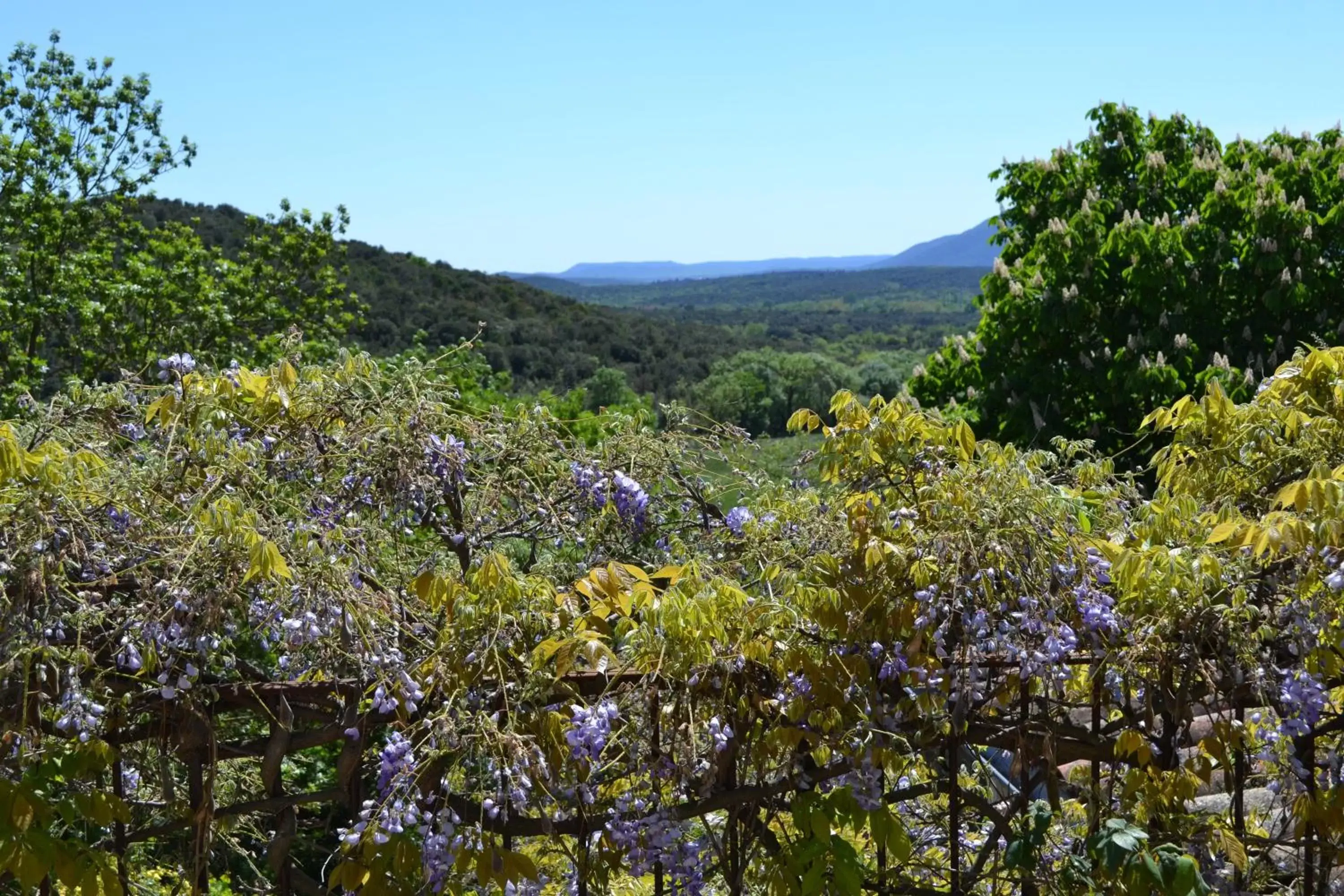 View (from property/room) in La Vieille Maison - Halte Gourmande