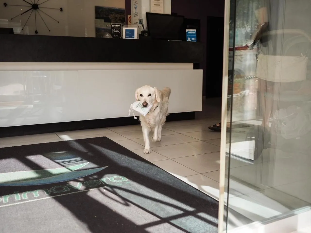 Pets in Ecohotel Primavera