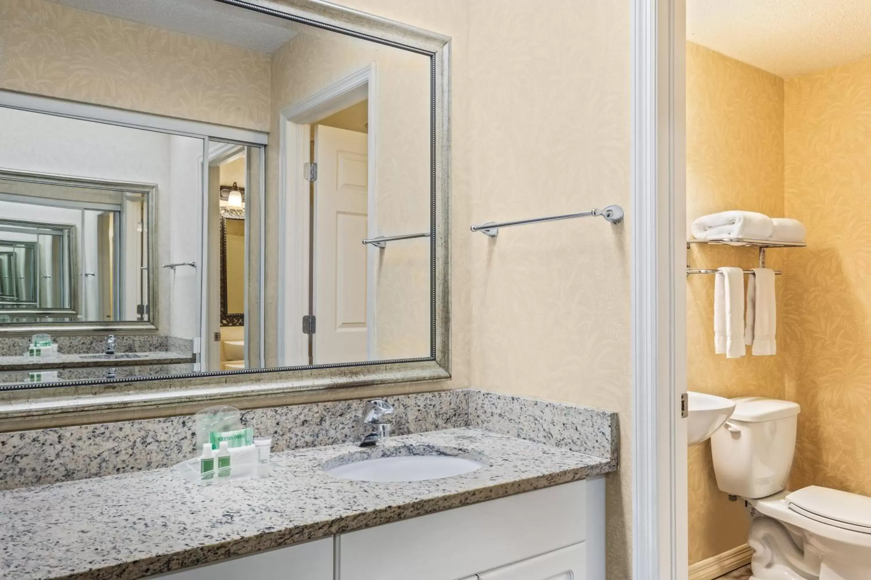 Bathroom in Holiday Inn & Suites Clearwater Beach S-Harbourside