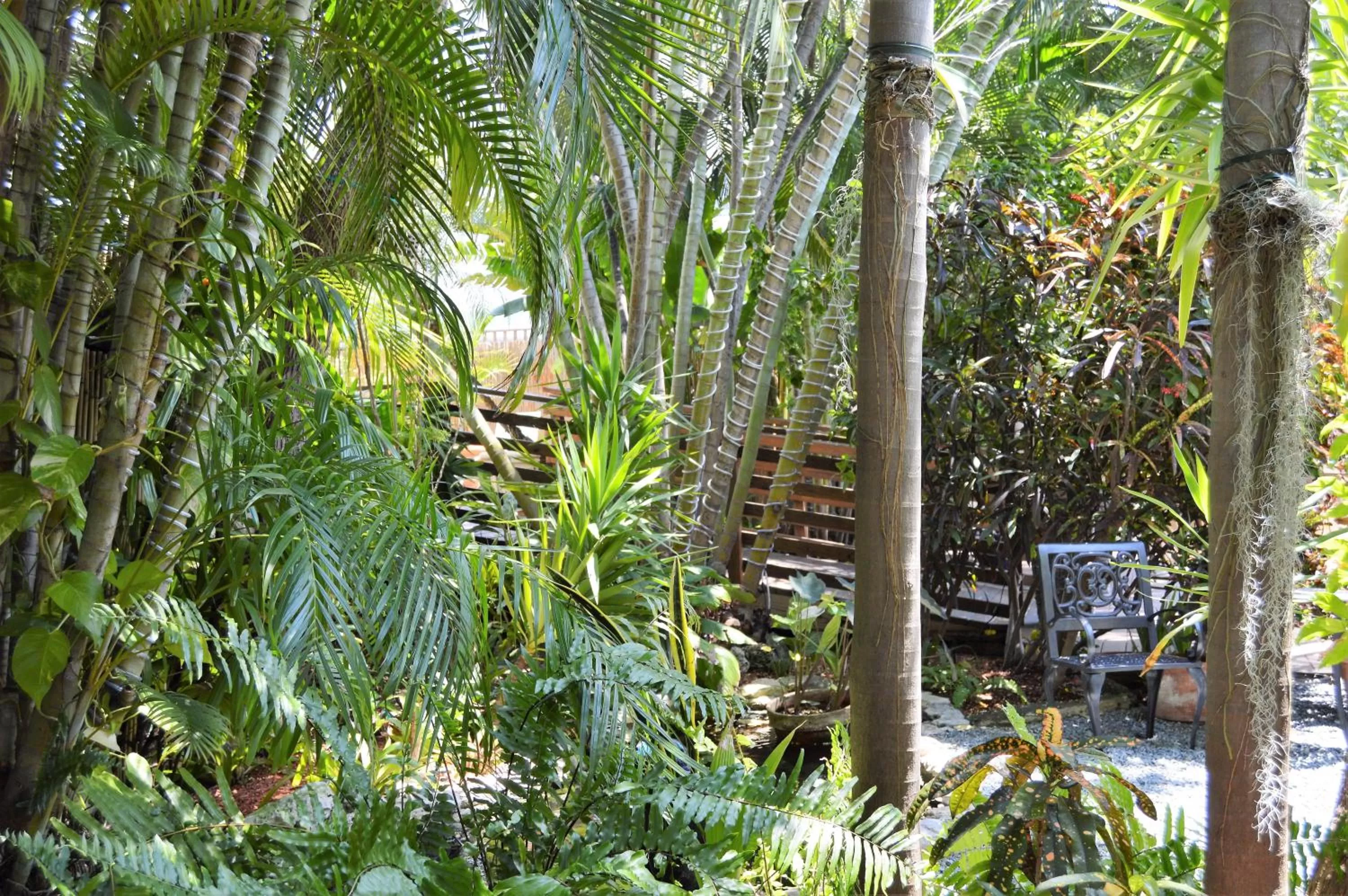 Garden in Douglas House
