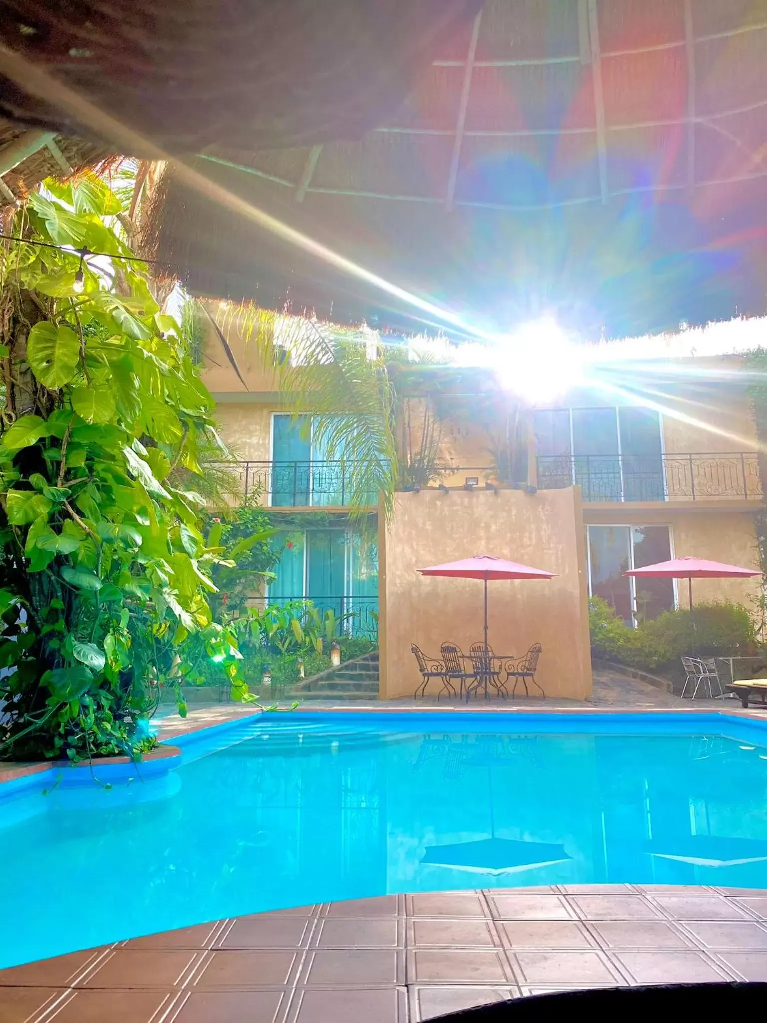 Swimming Pool in Hotel Camino Surreal Xilitla