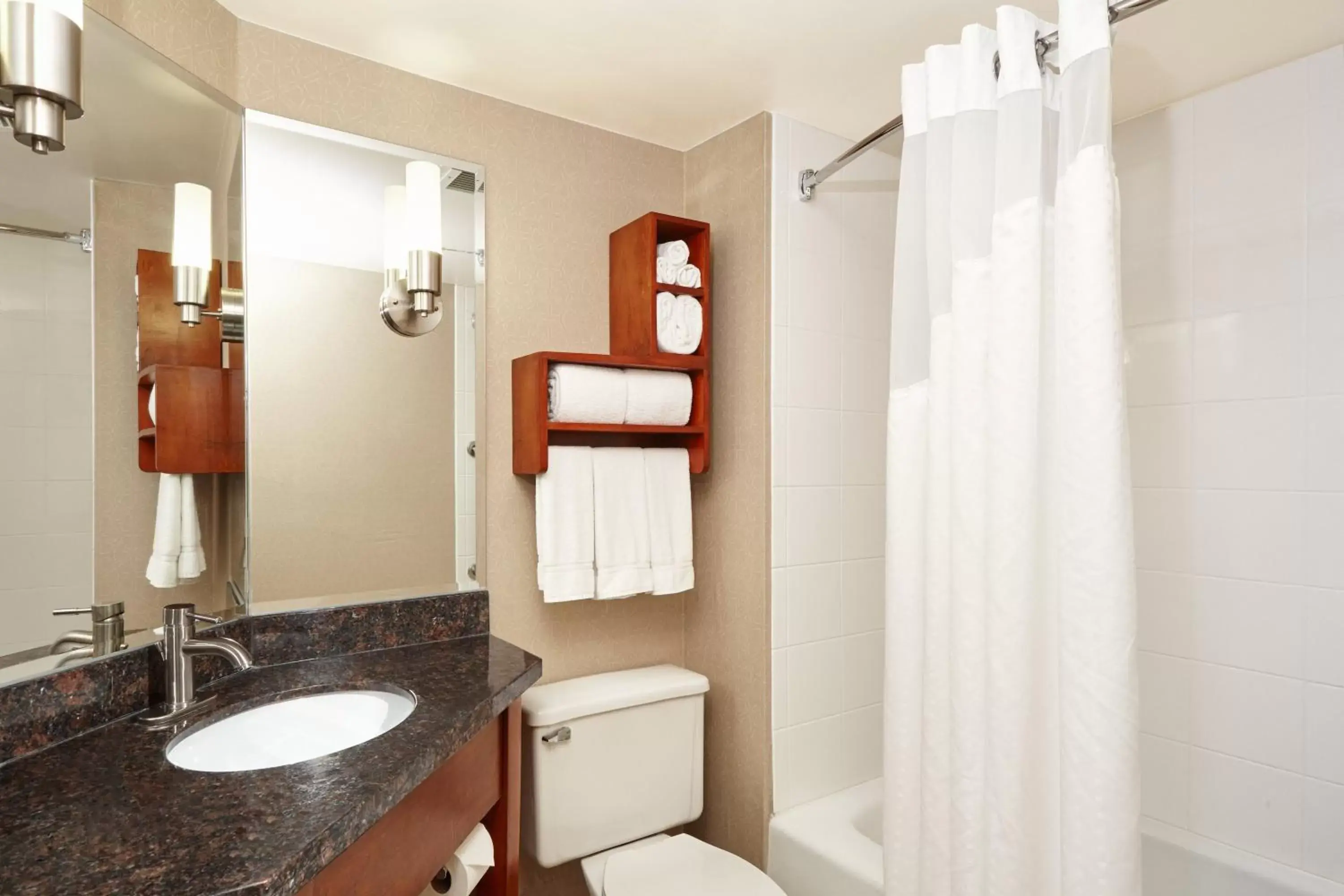 Bathroom in Holiday Inn Express Hotels- Hampton, an IHG Hotel