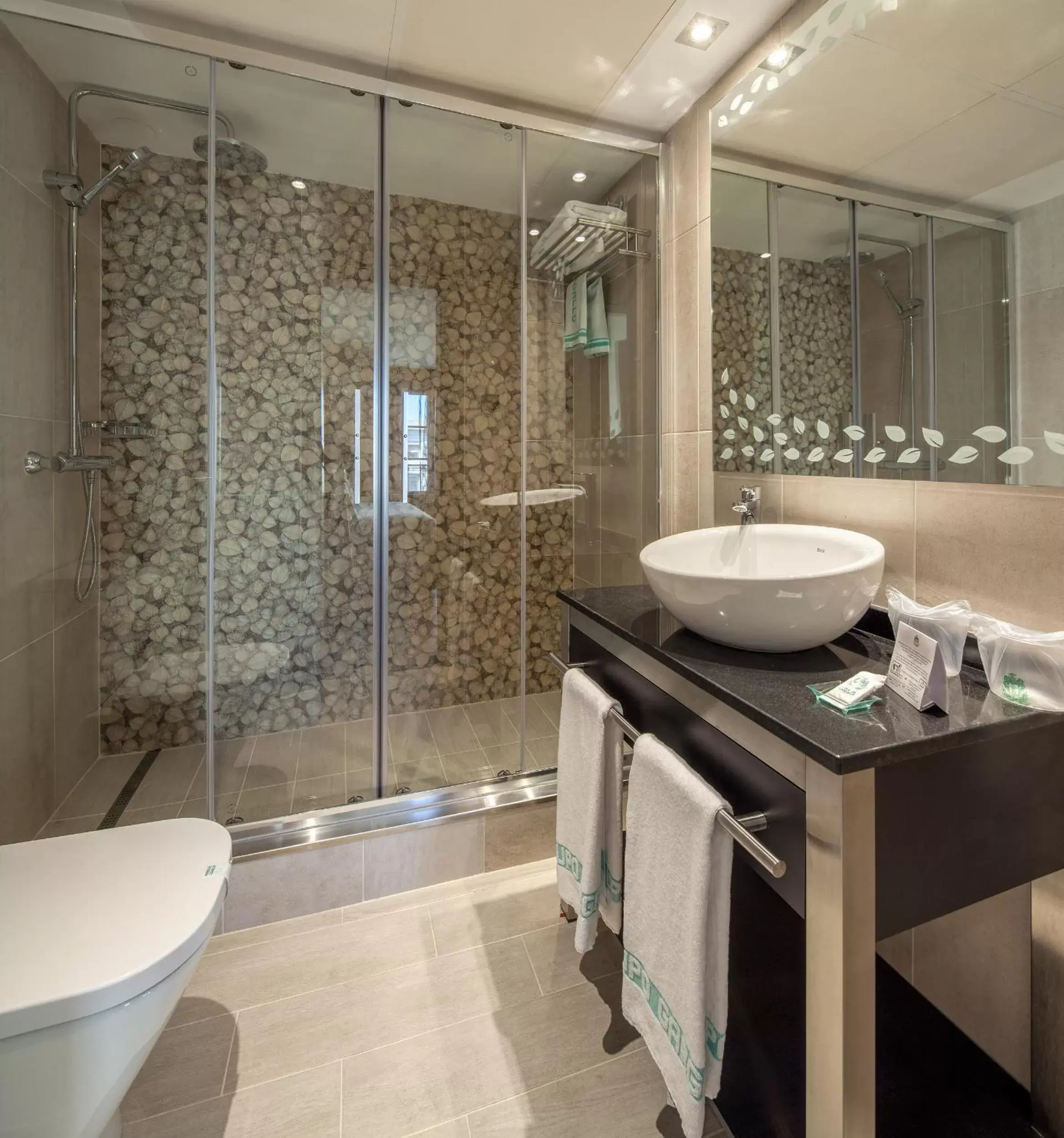 Bathroom in Hotel Suizo