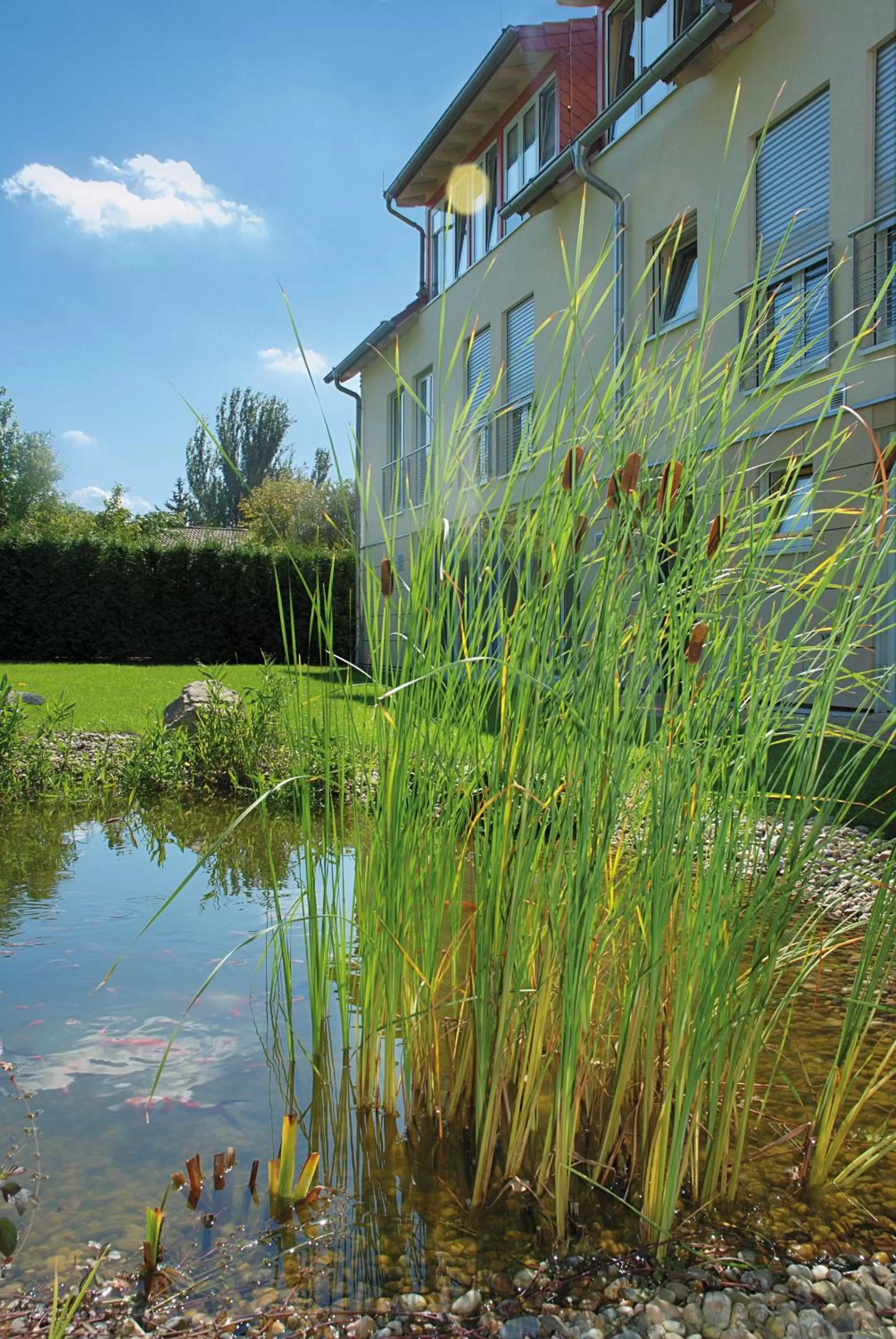 Facade/entrance in Landhotel Altes Wasserwerk GbR