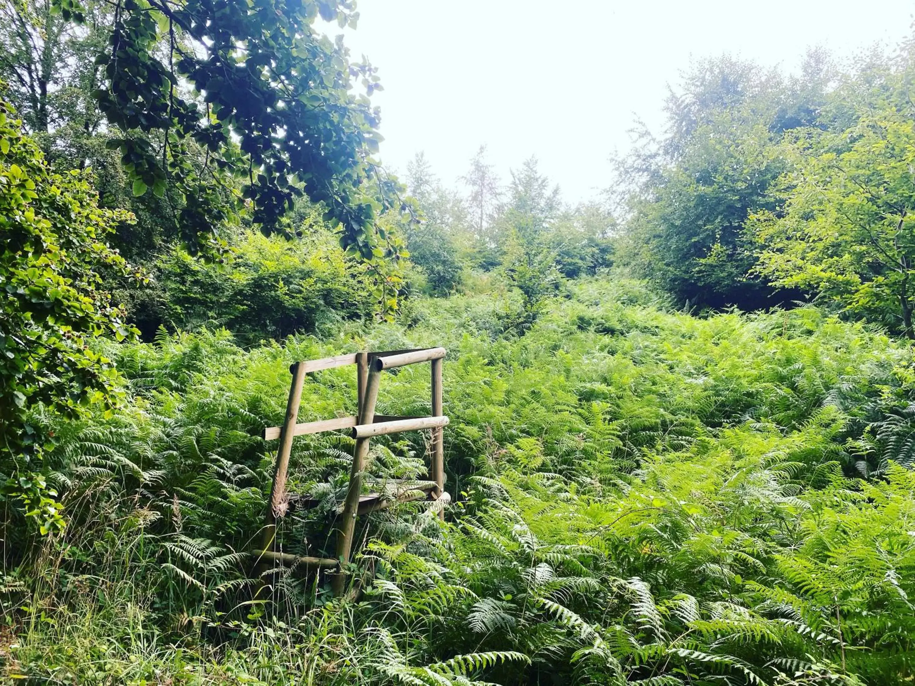 Natural landscape in La folie douce, votre gîte brocante, sport et nature