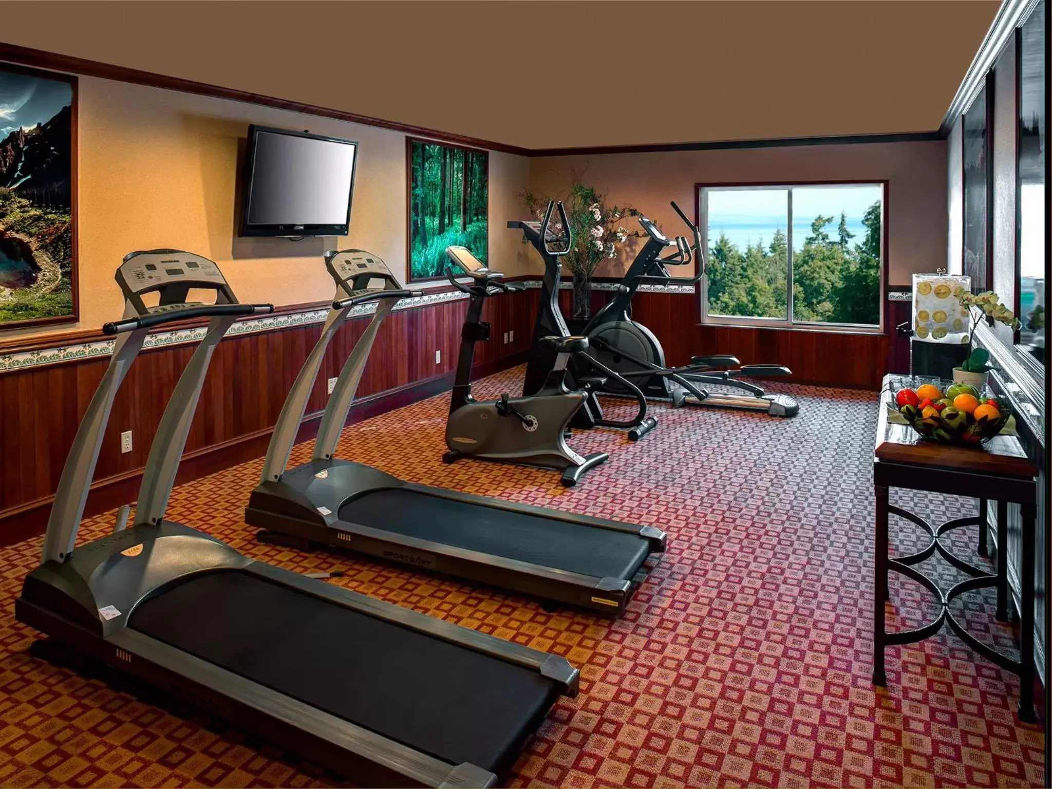 TV and multimedia, Fitness Center/Facilities in Olympic Lodge by Ayres