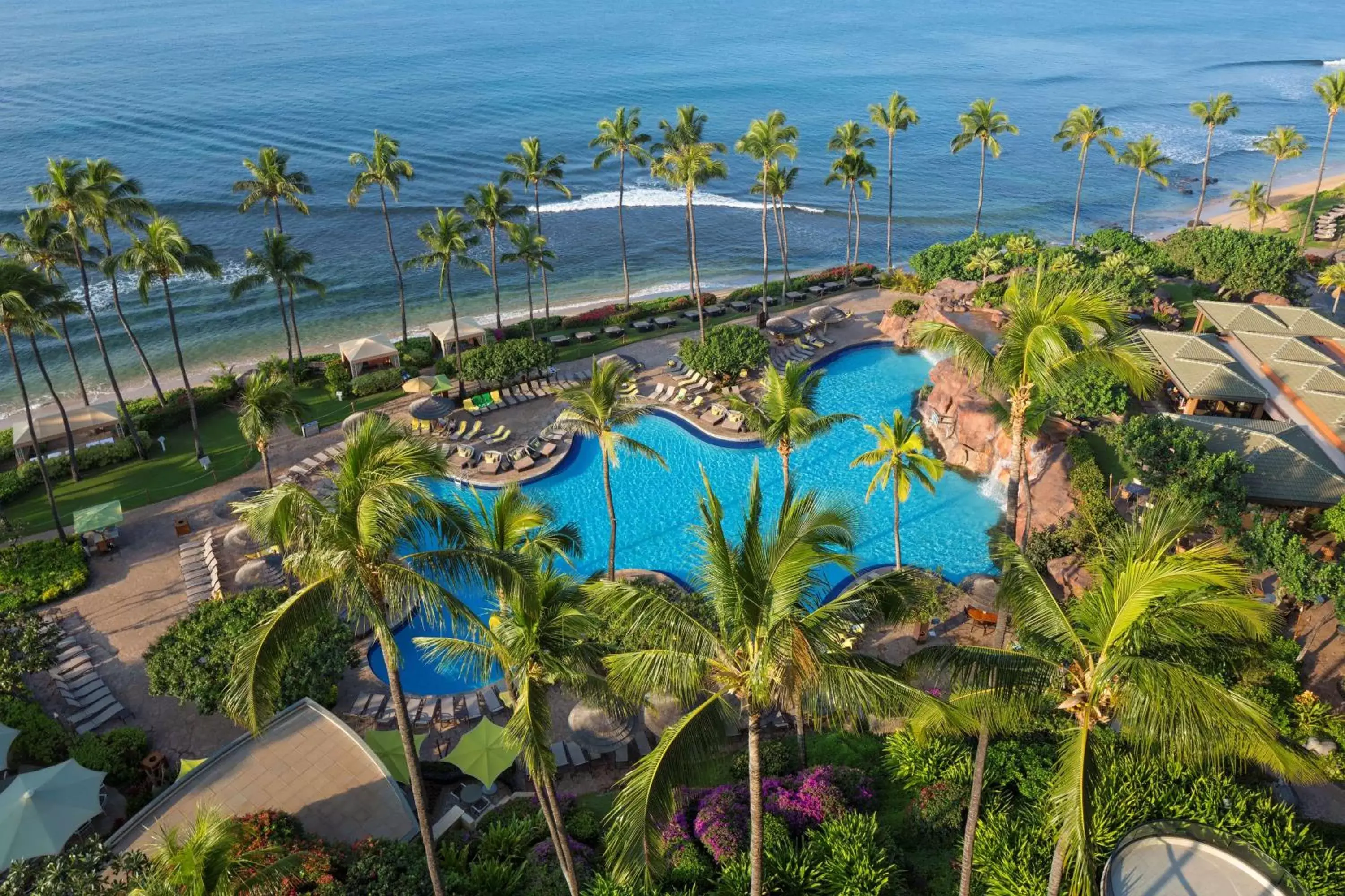 Activities, Pool View in Hyatt Regency Maui Resort & Spa