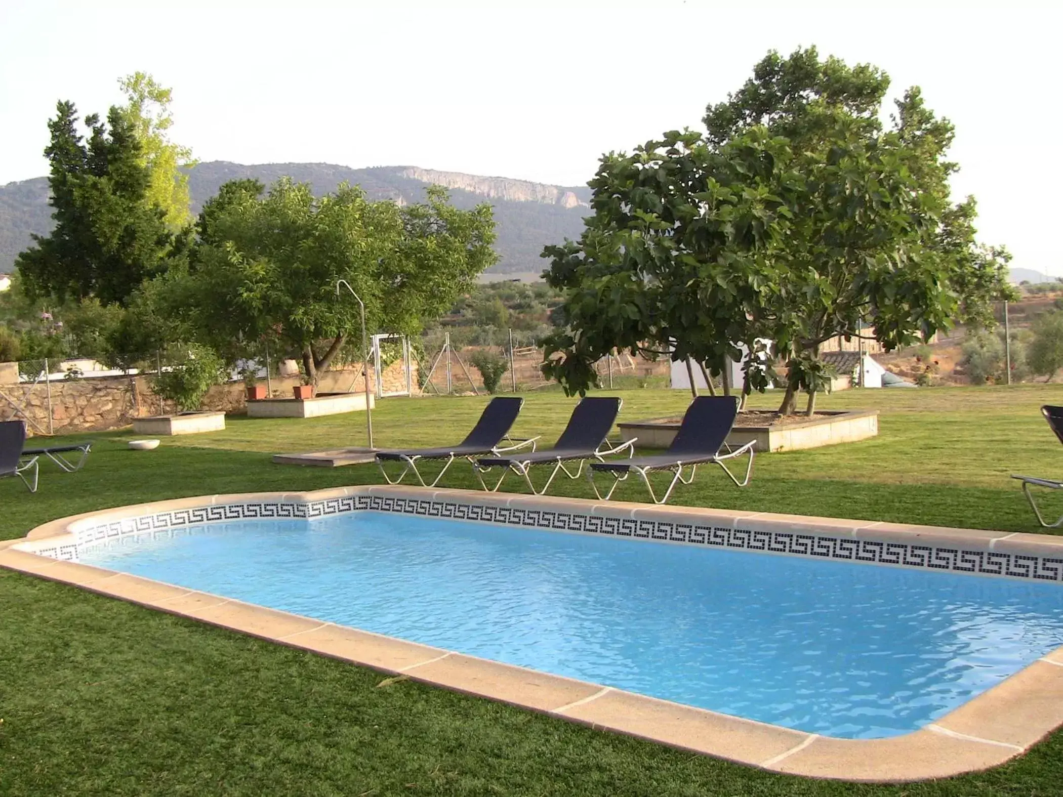 Swimming Pool in Hotel Rural Castillo de Biar Finca FANECAES
