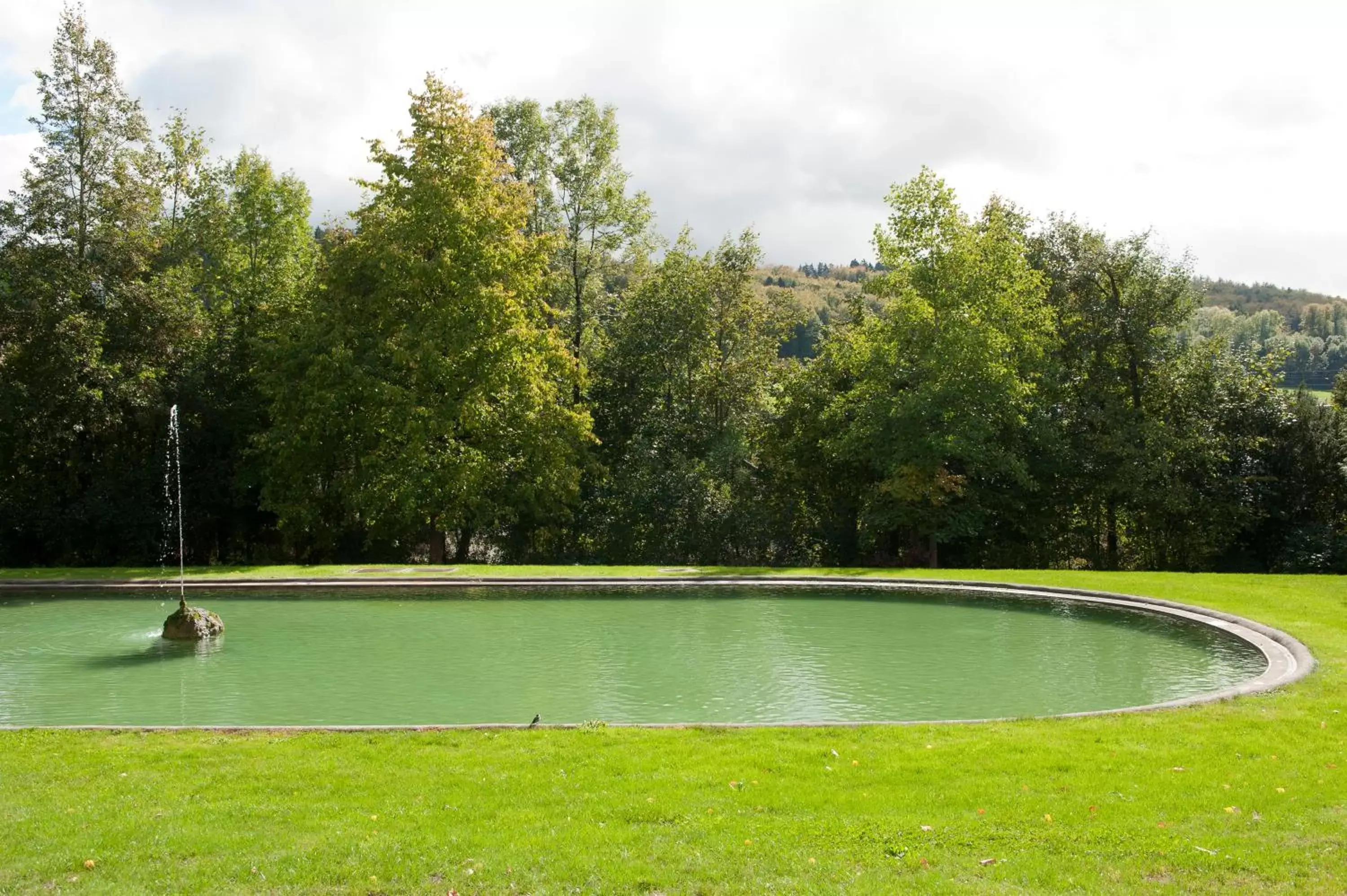 Area and facilities, Swimming Pool in Schloss Münchenwiler