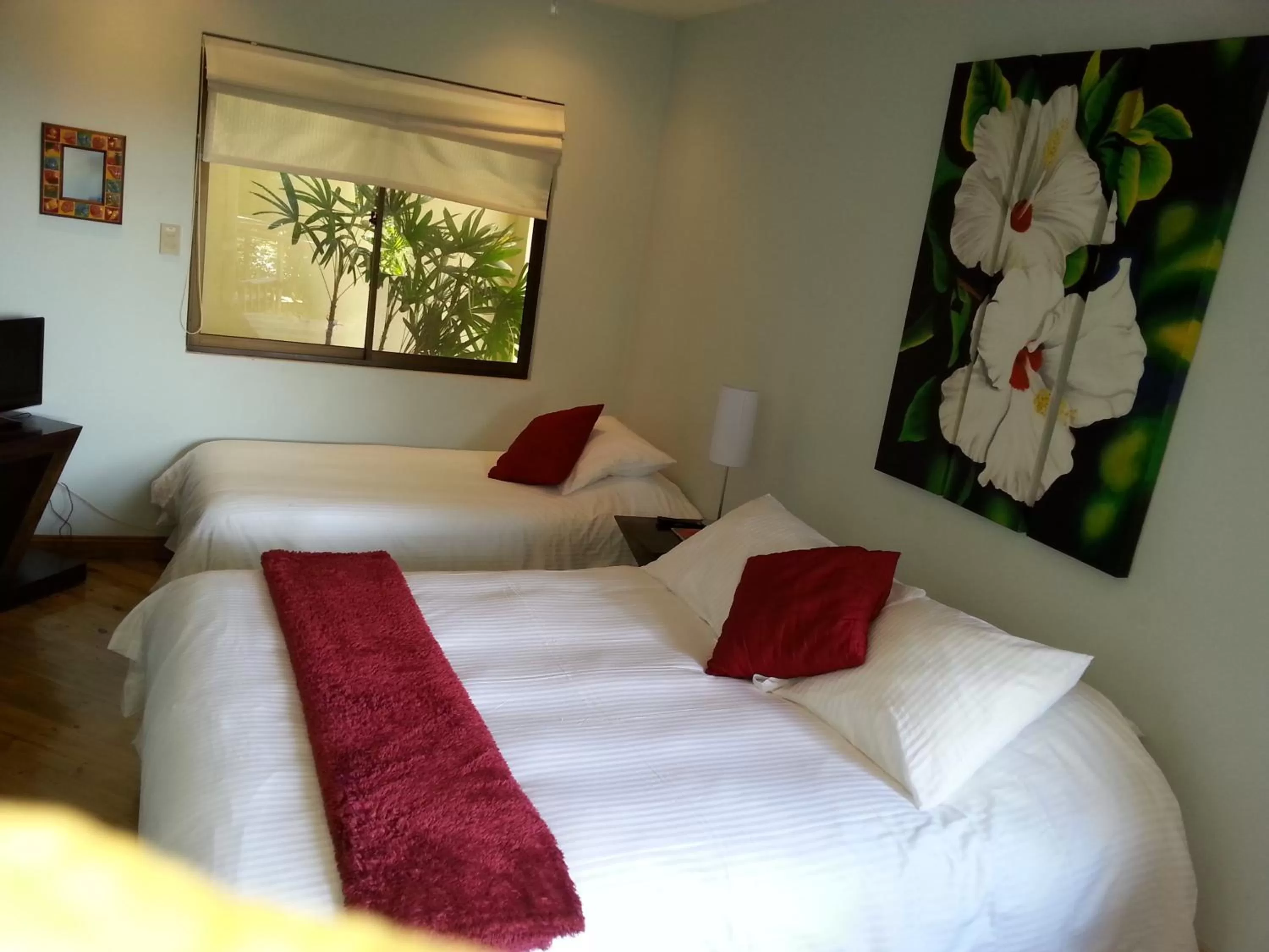 Day, Bed in Out of Bounds Boutique Hotel