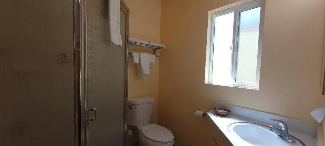 Shower, Bathroom in Lakeview Inn