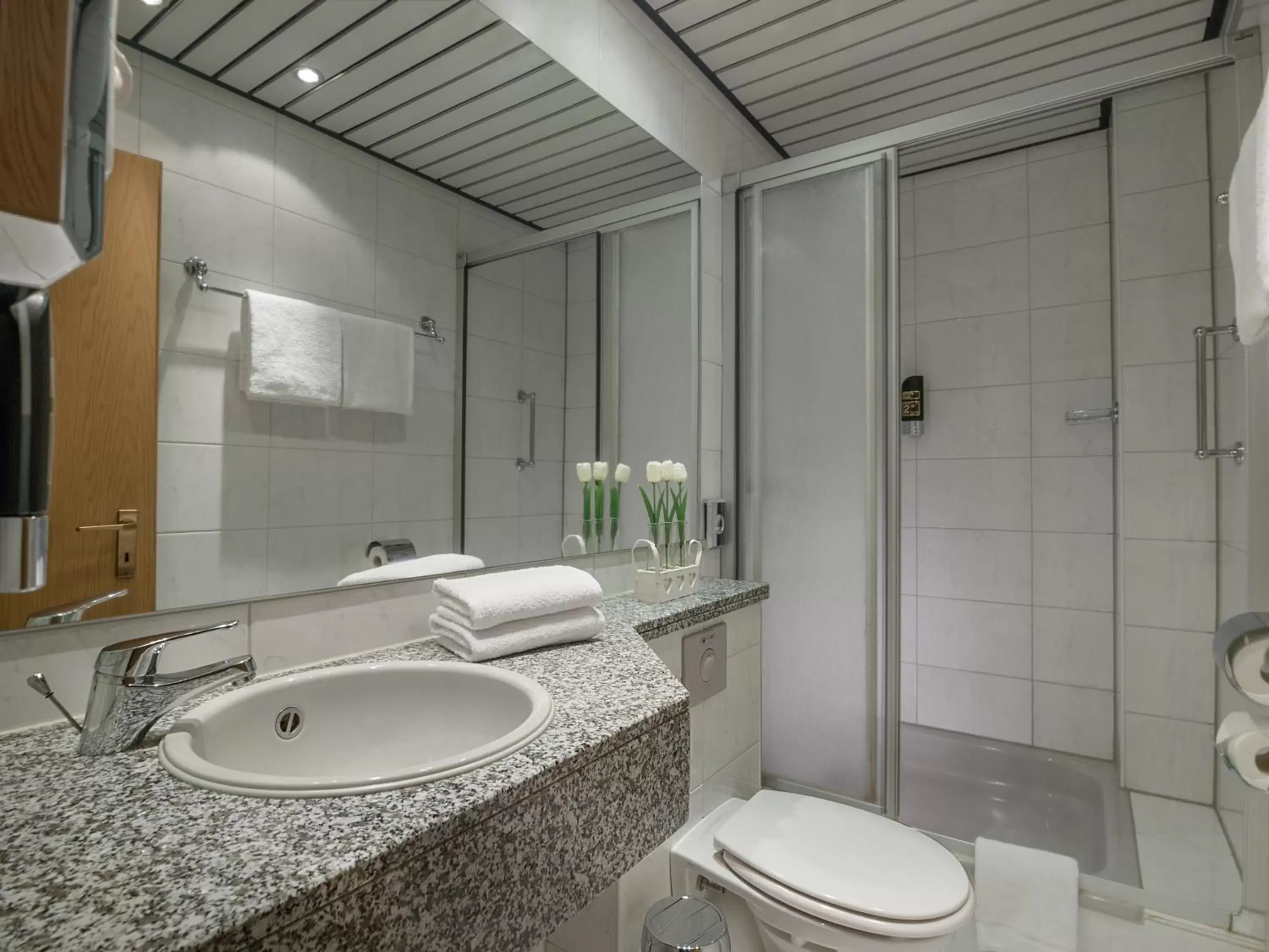 Bathroom in Trip Inn Hotel Schumann