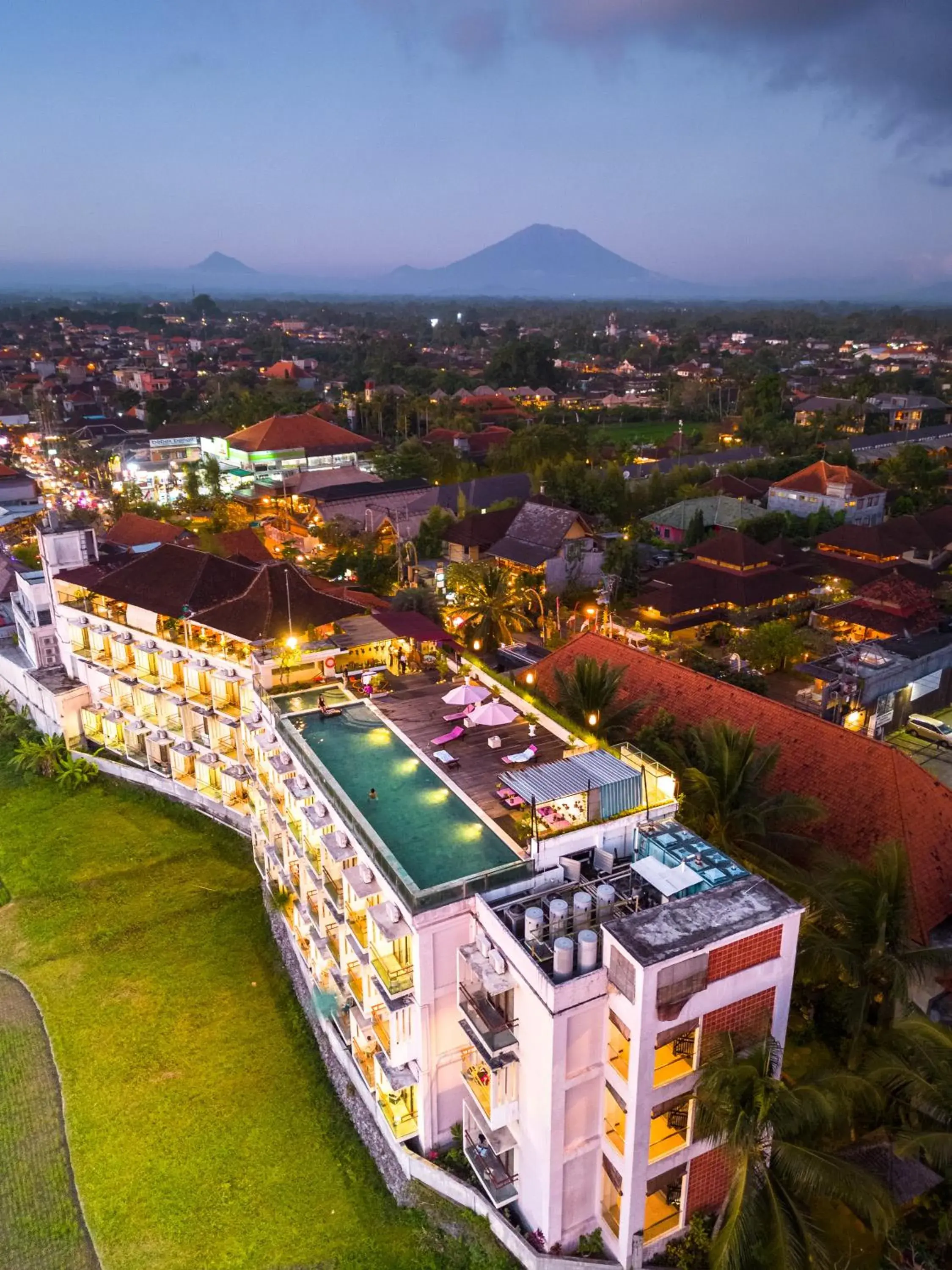 Bird's-eye View in The Evitel Resort Ubud