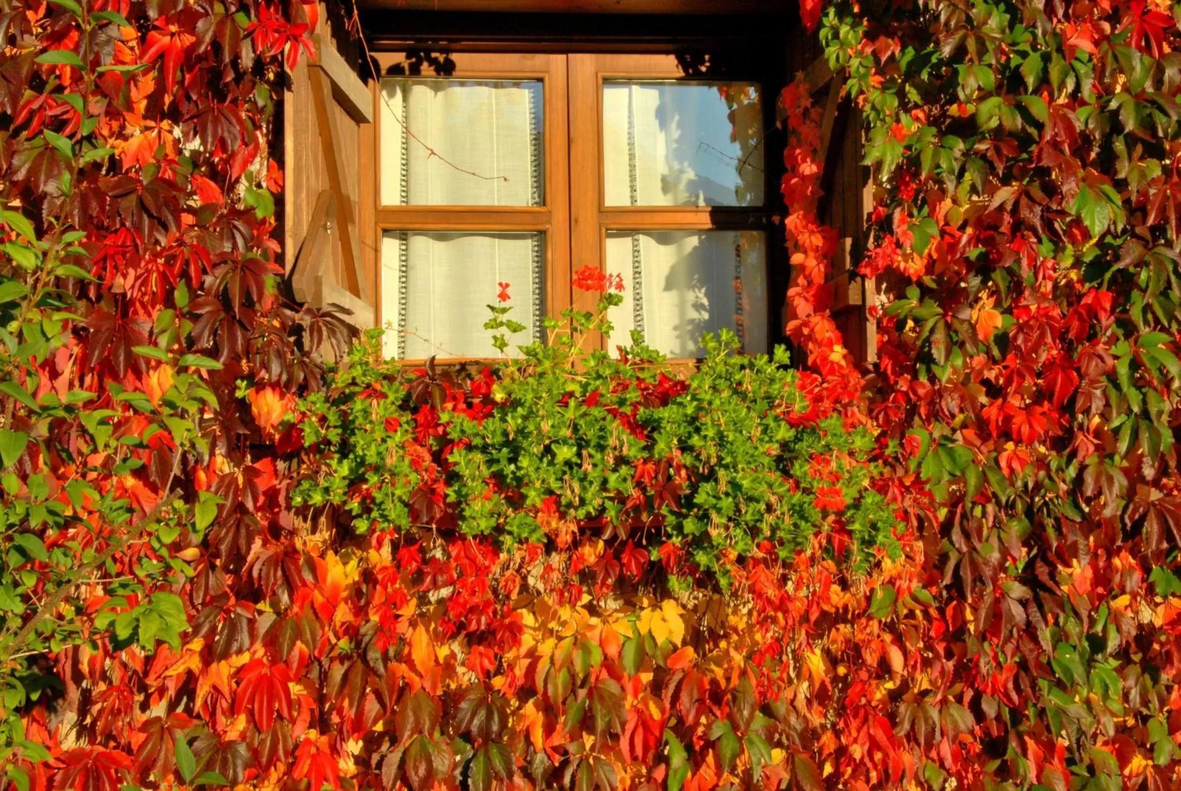 Facade/entrance in Hotel Selba d'Ansils
