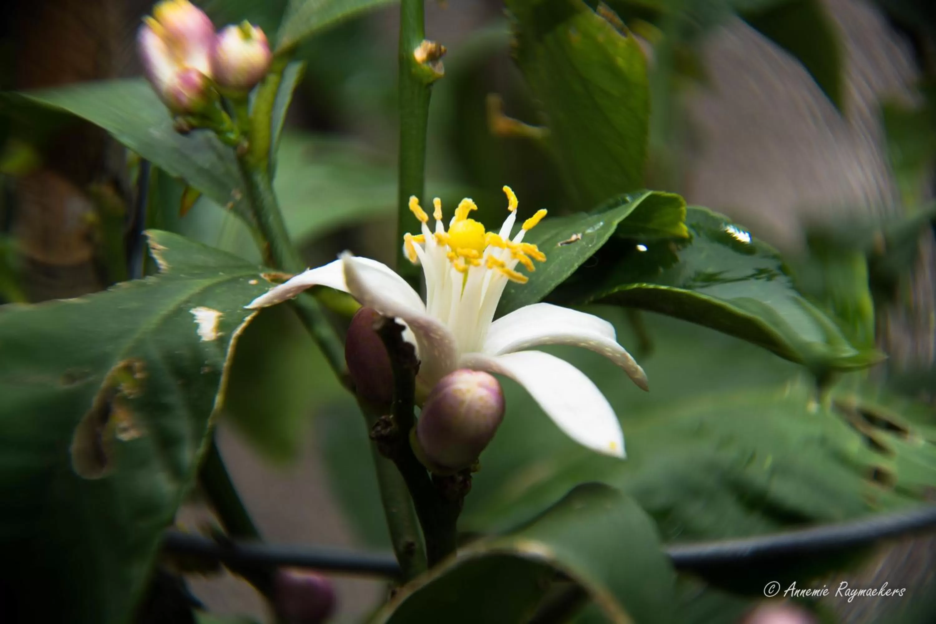 Other in Hotel Monti