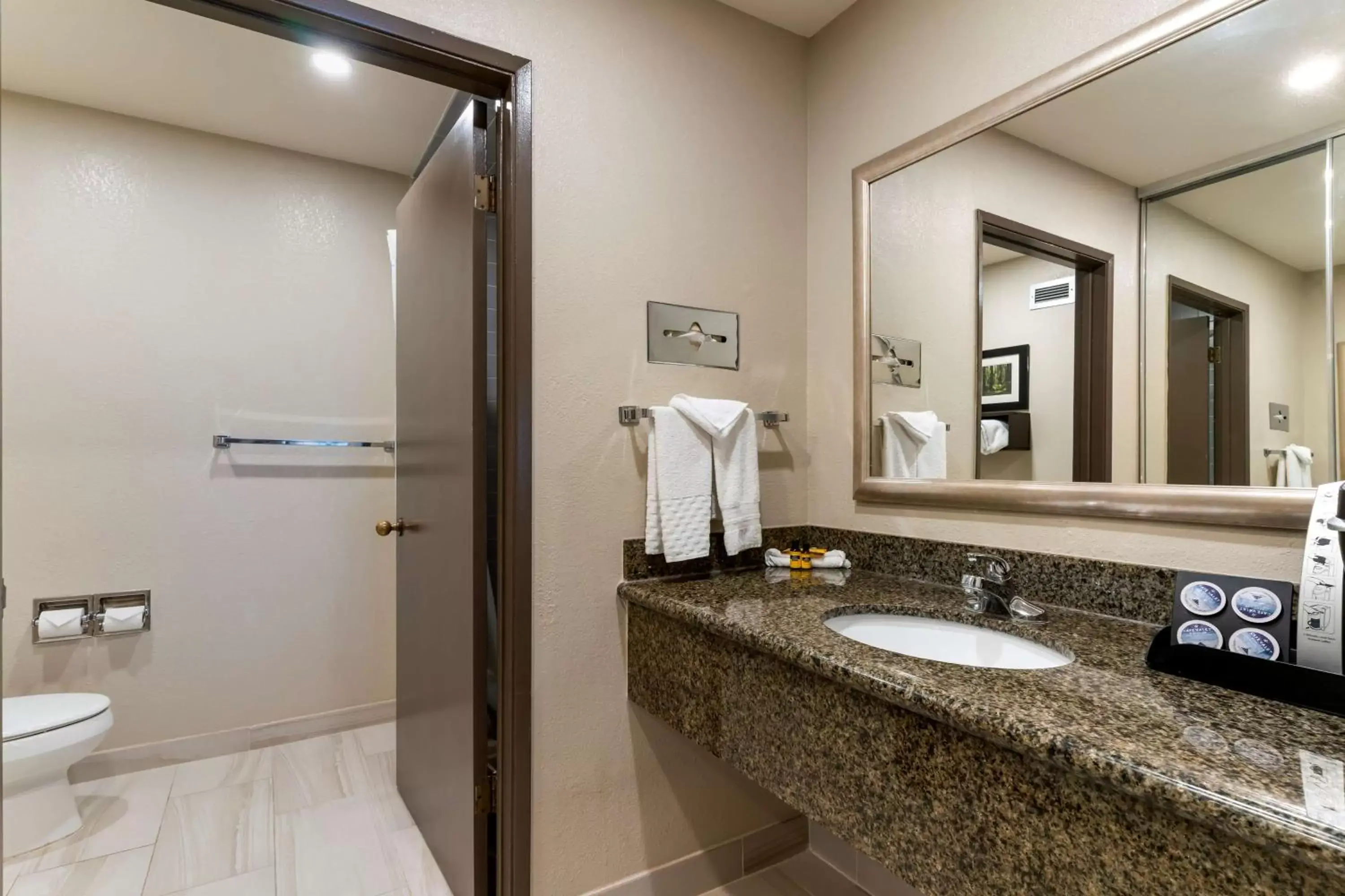 Bathroom in Best Western Plus Forest Park Inn