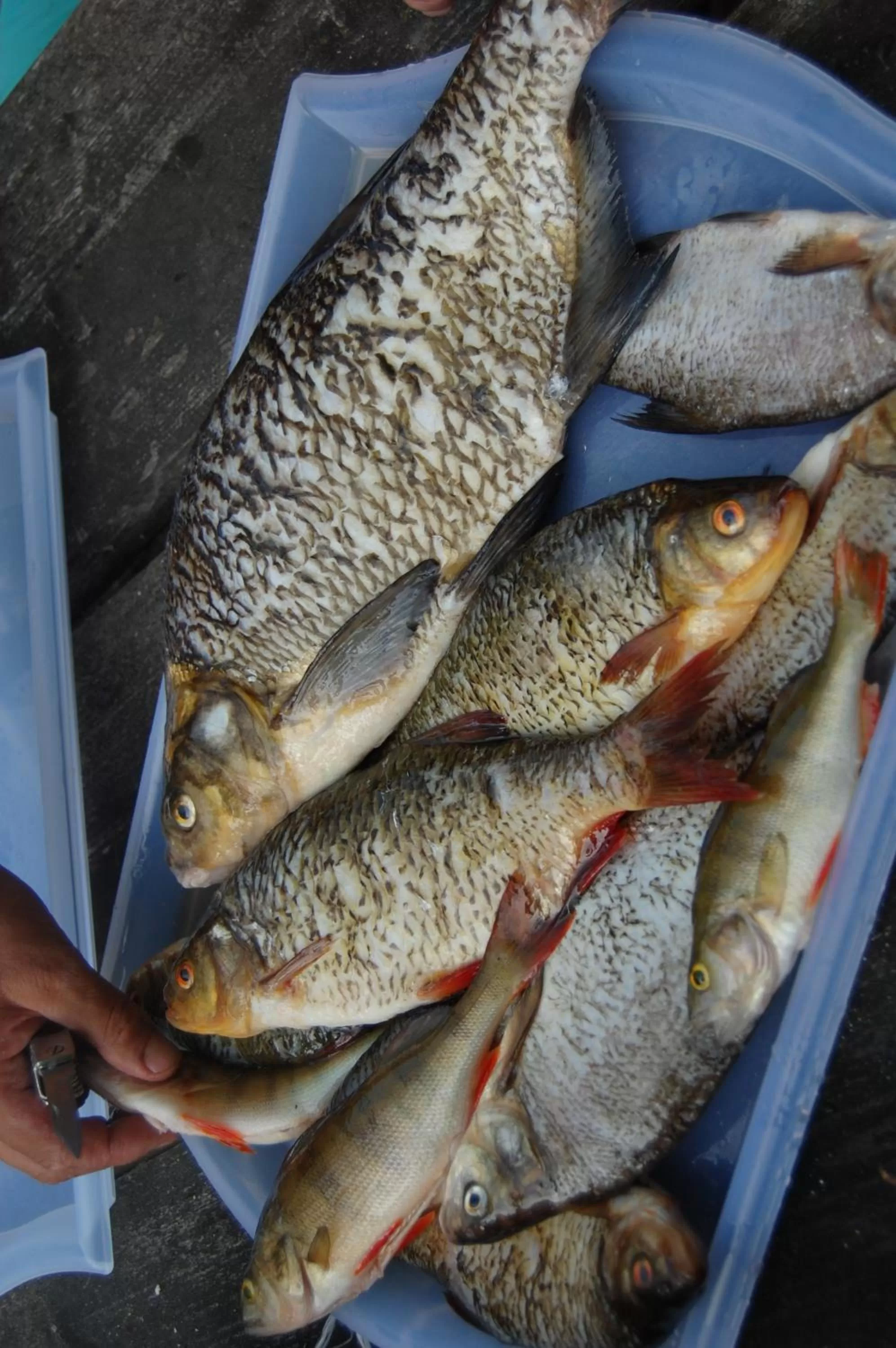 Fishing in Kuhasensaari Lomakeskus