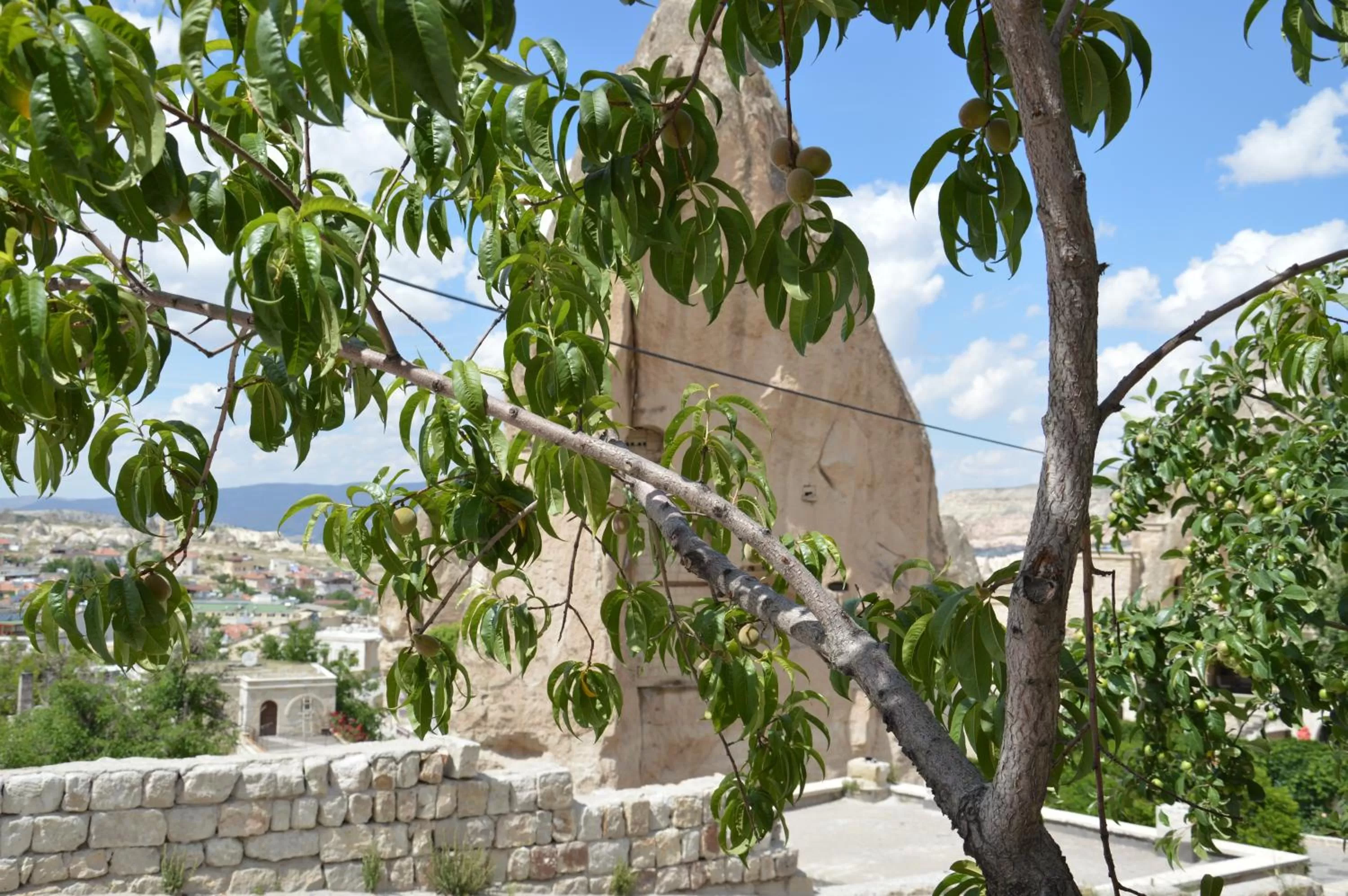 Balcony/Terrace in Elite Cave Suites