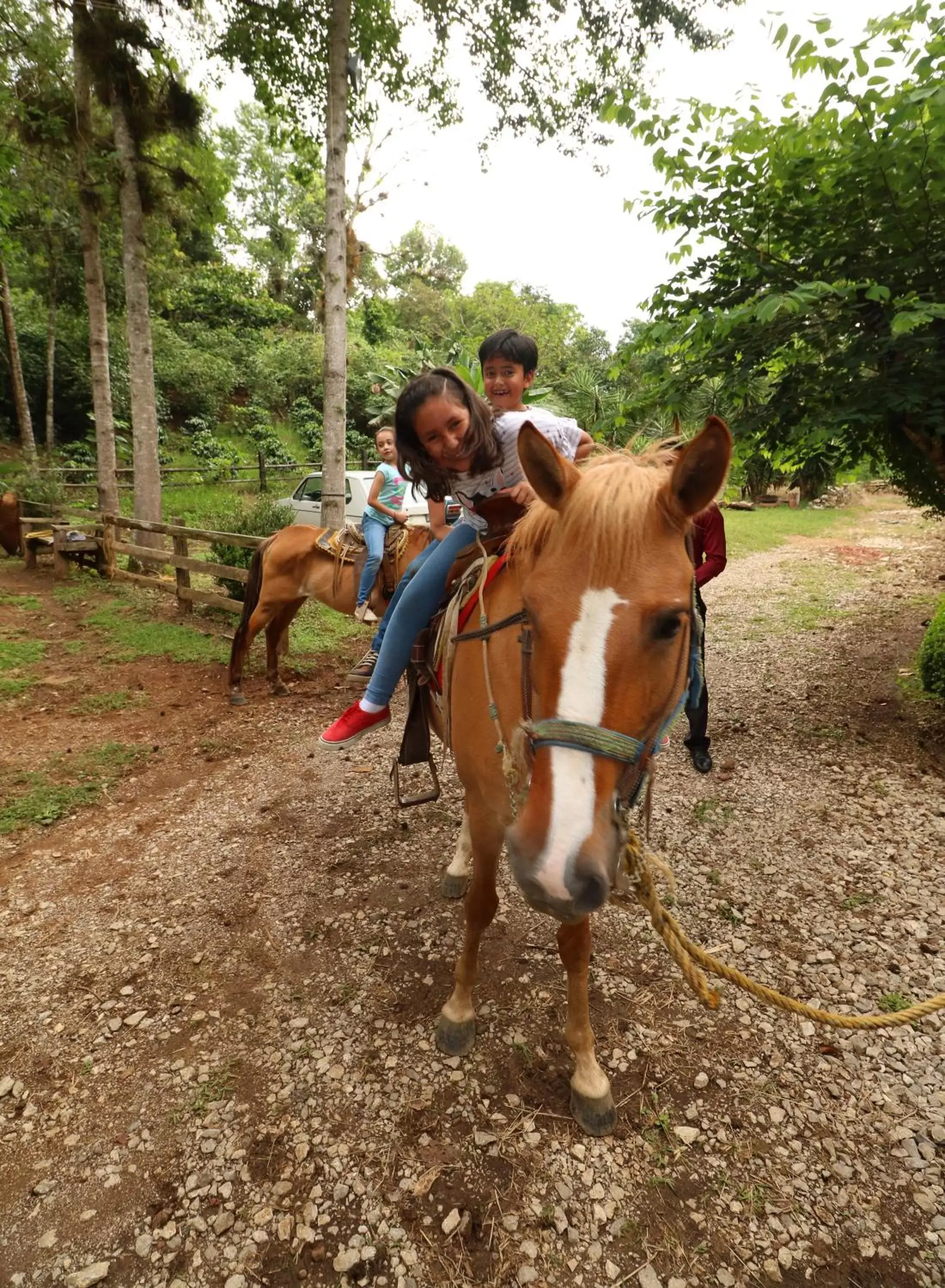 Entertainment, Horseback Riding in Mision Los Cocuyos Alta Montana