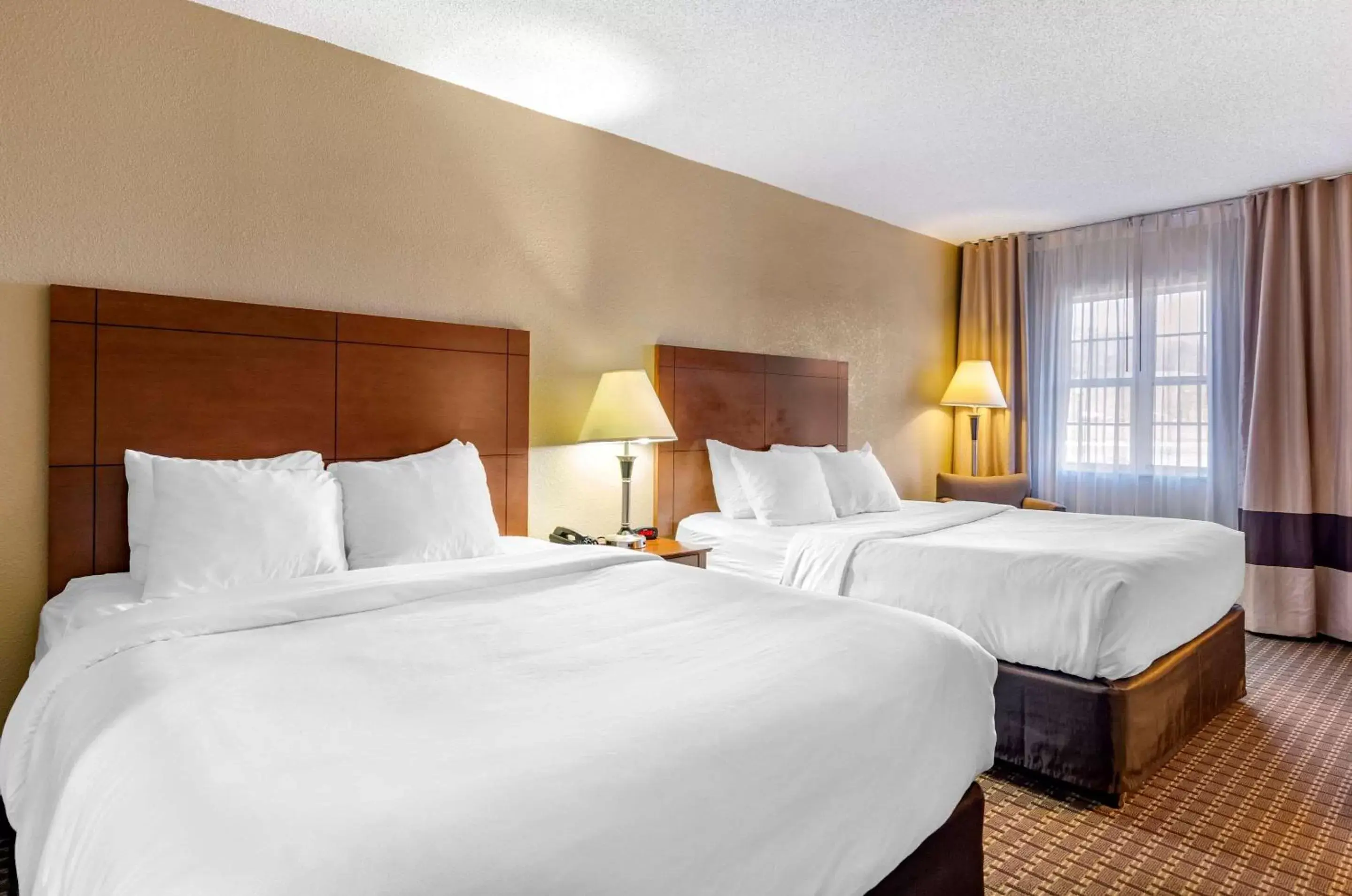 Photo of the whole room, Bed in Comfort Inn & Suites Raphine - Lexington near I-81 and I-64