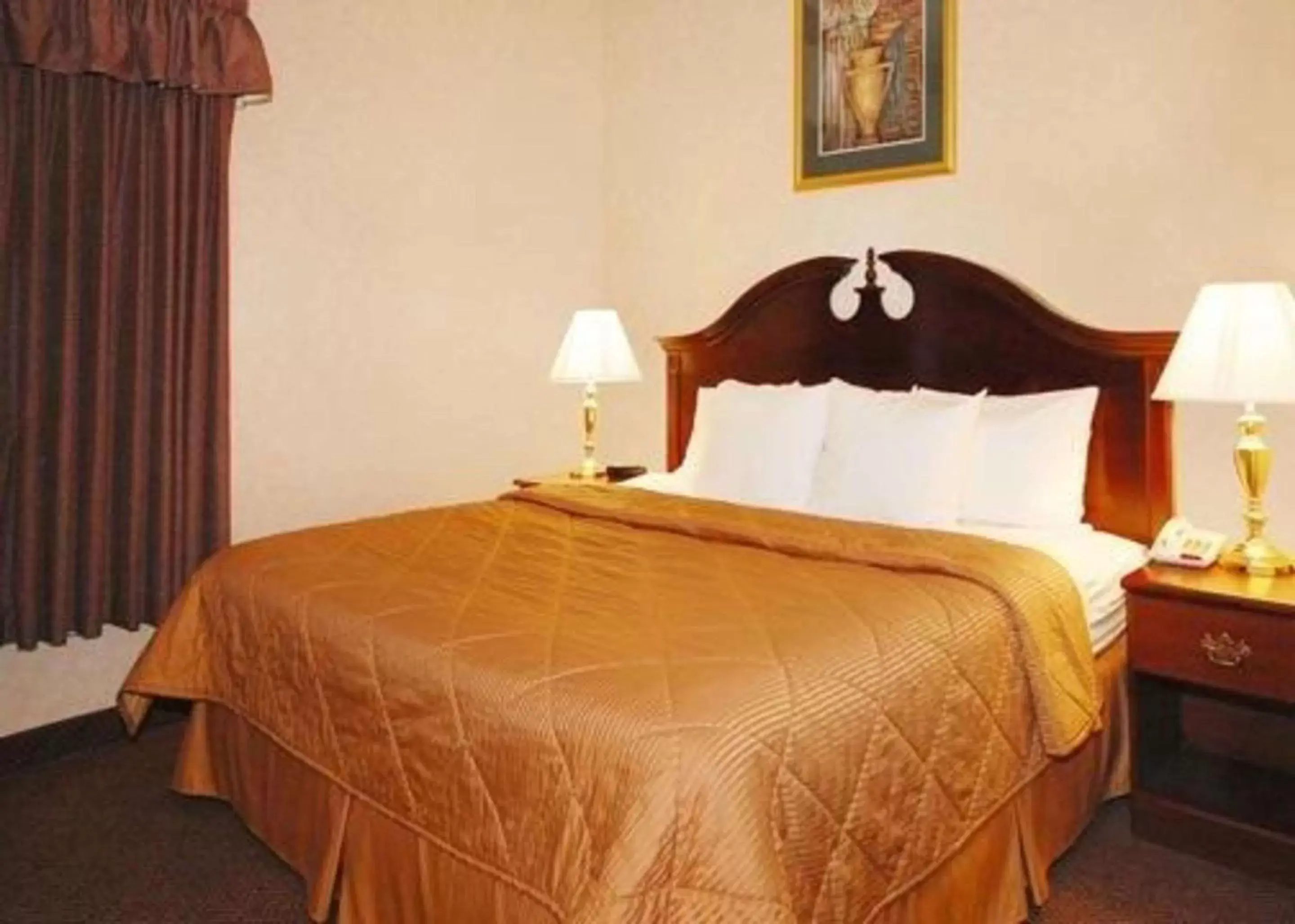 Photo of the whole room, Bed in Quality Inn & Suites Tarboro - Kingsboro