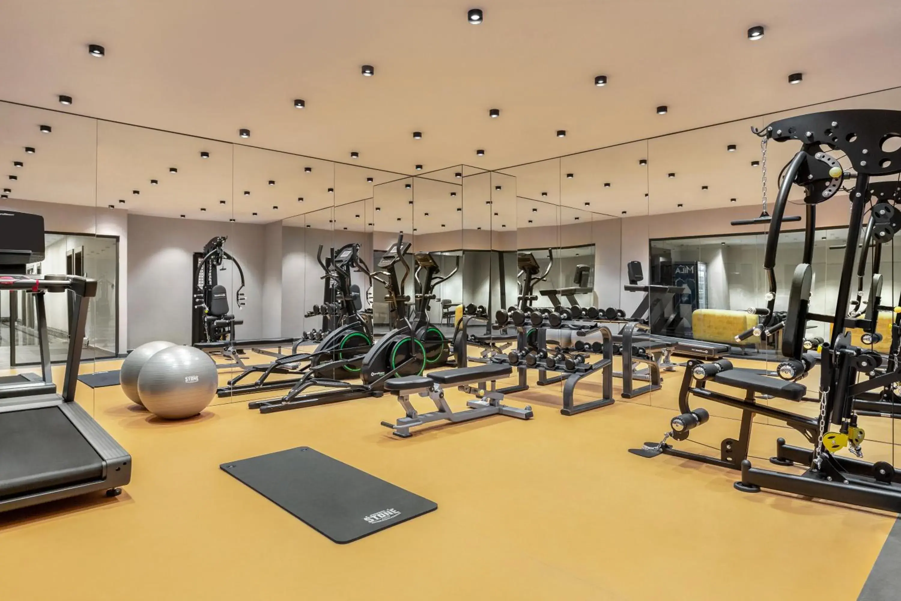Fitness centre/facilities, Fitness Center/Facilities in Ramada by Wyndham Istanbul Umraniye