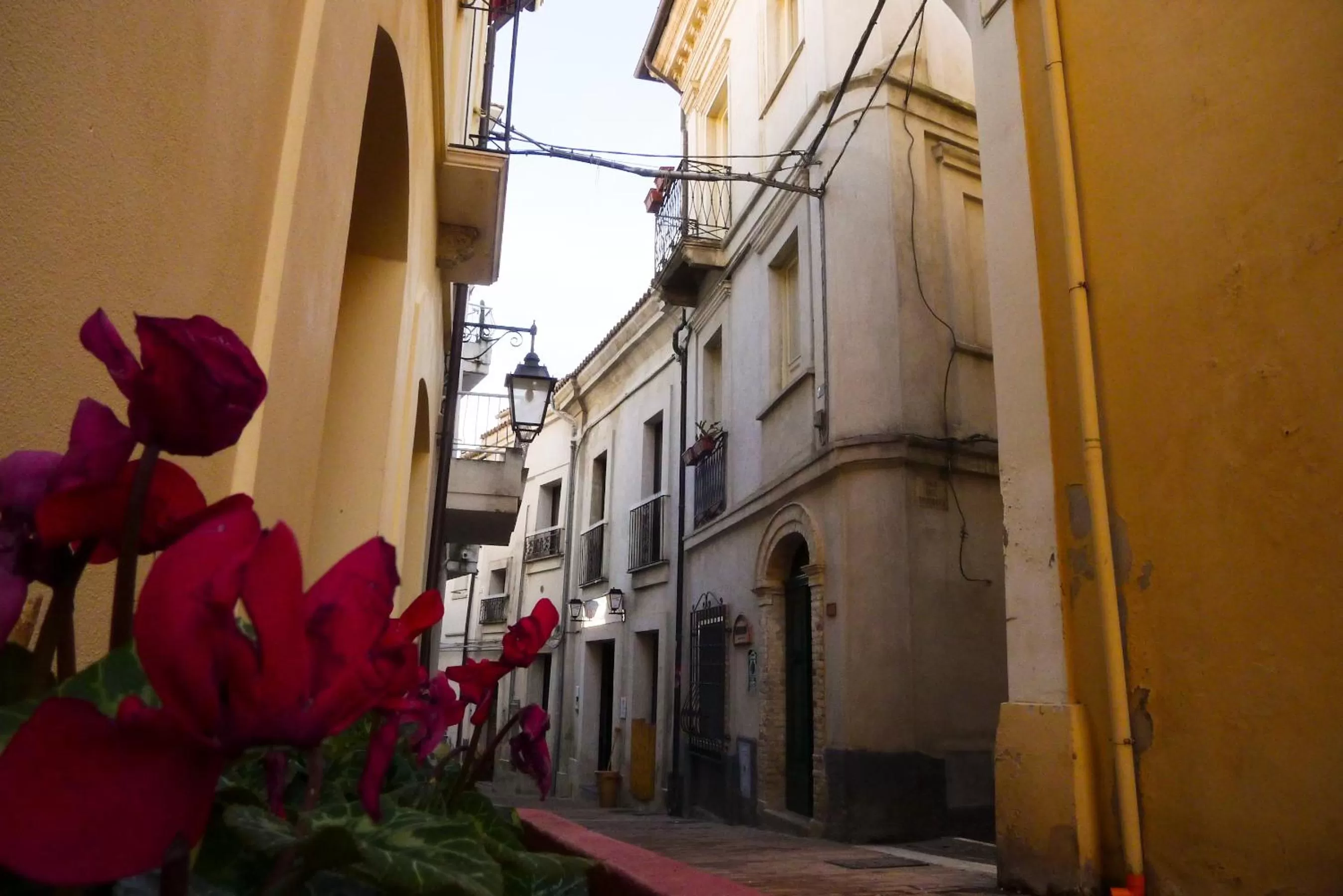 Property building, Neighborhood in B&B Ottocento