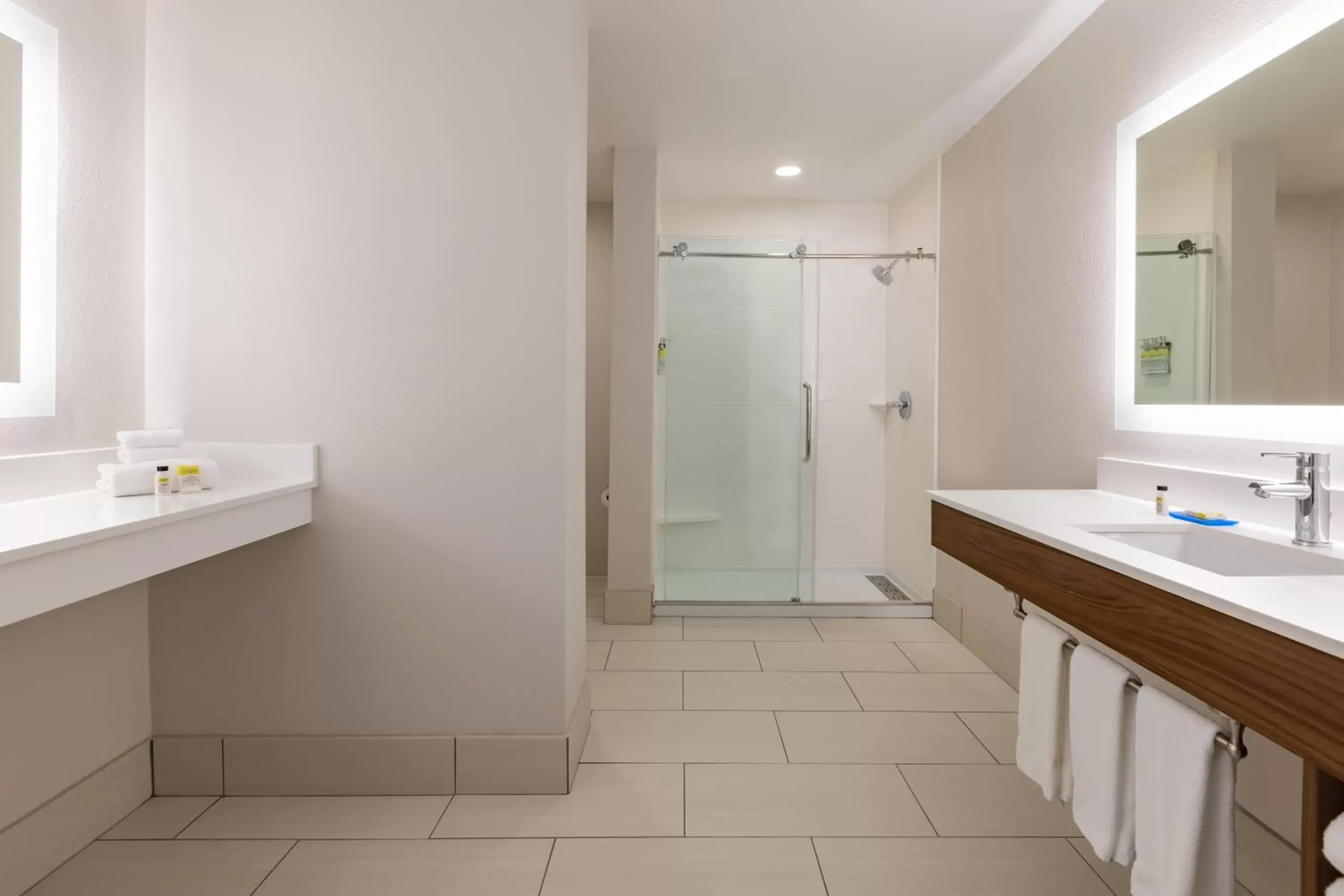 Shower, Bathroom in Holiday Inn Express Hotel & Suites Opelika Auburn, an IHG Hotel