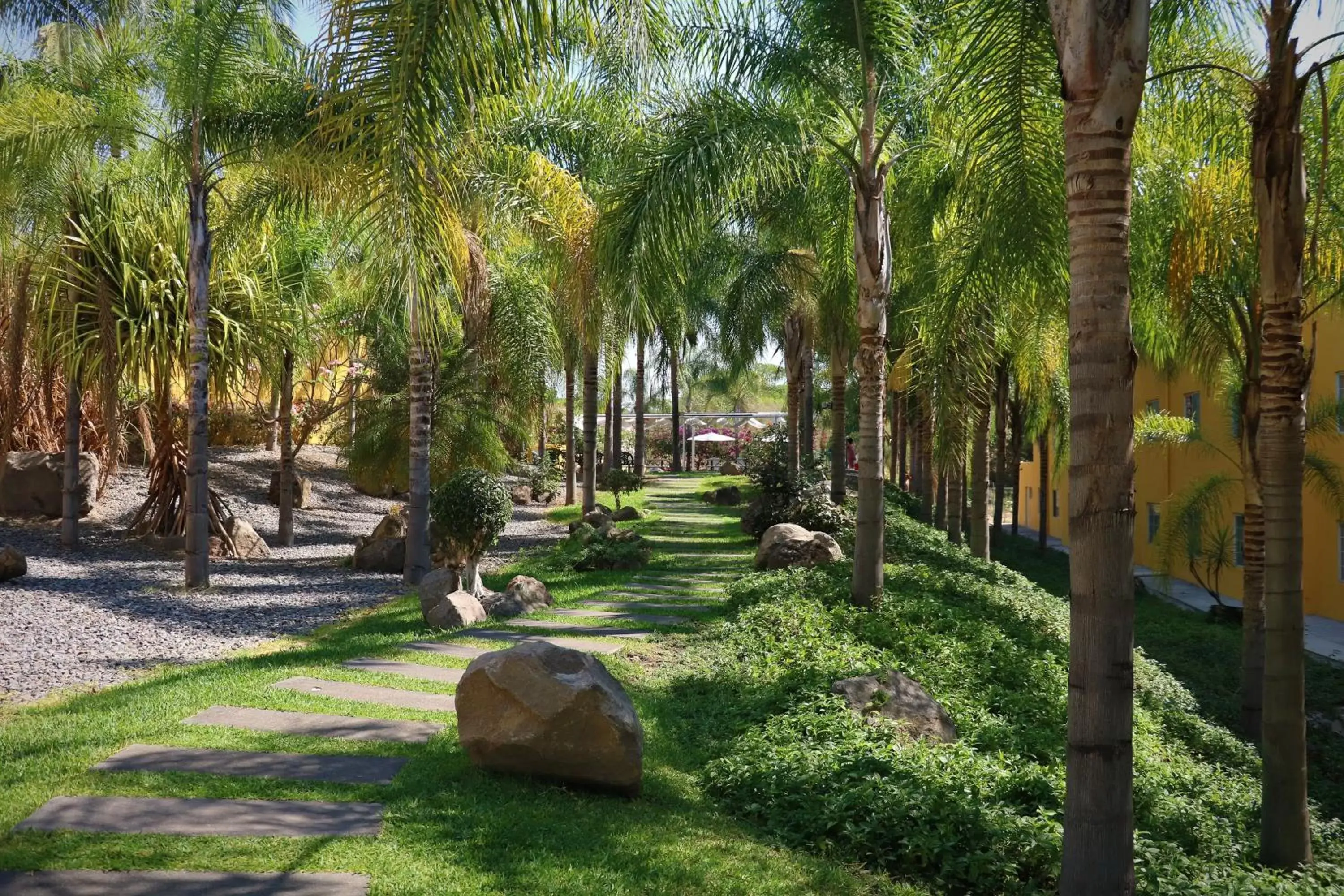 Garden in Zar Colima