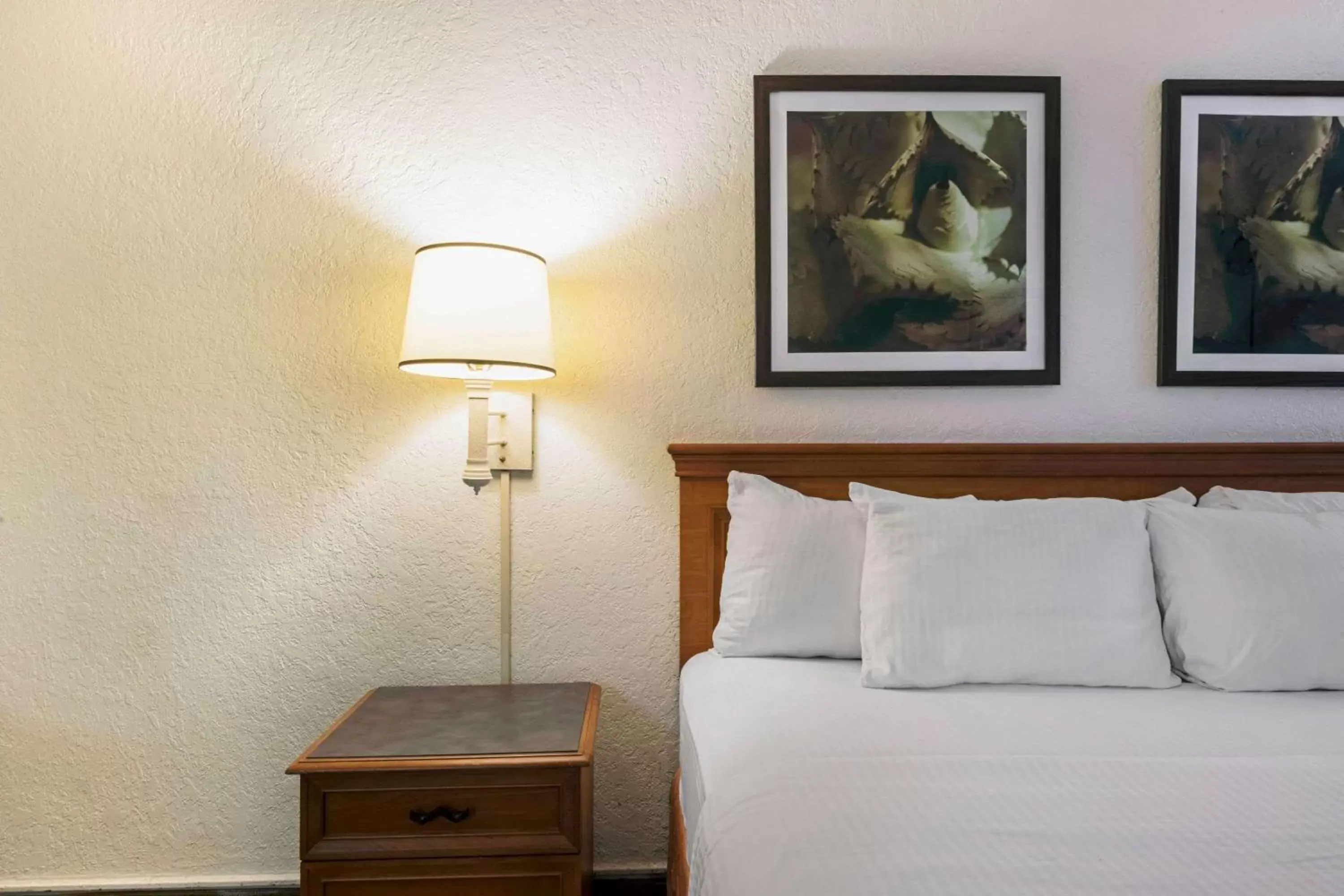 Bed in La Quinta Inn by Wyndham San Antonio I-35 N at Rittiman Rd