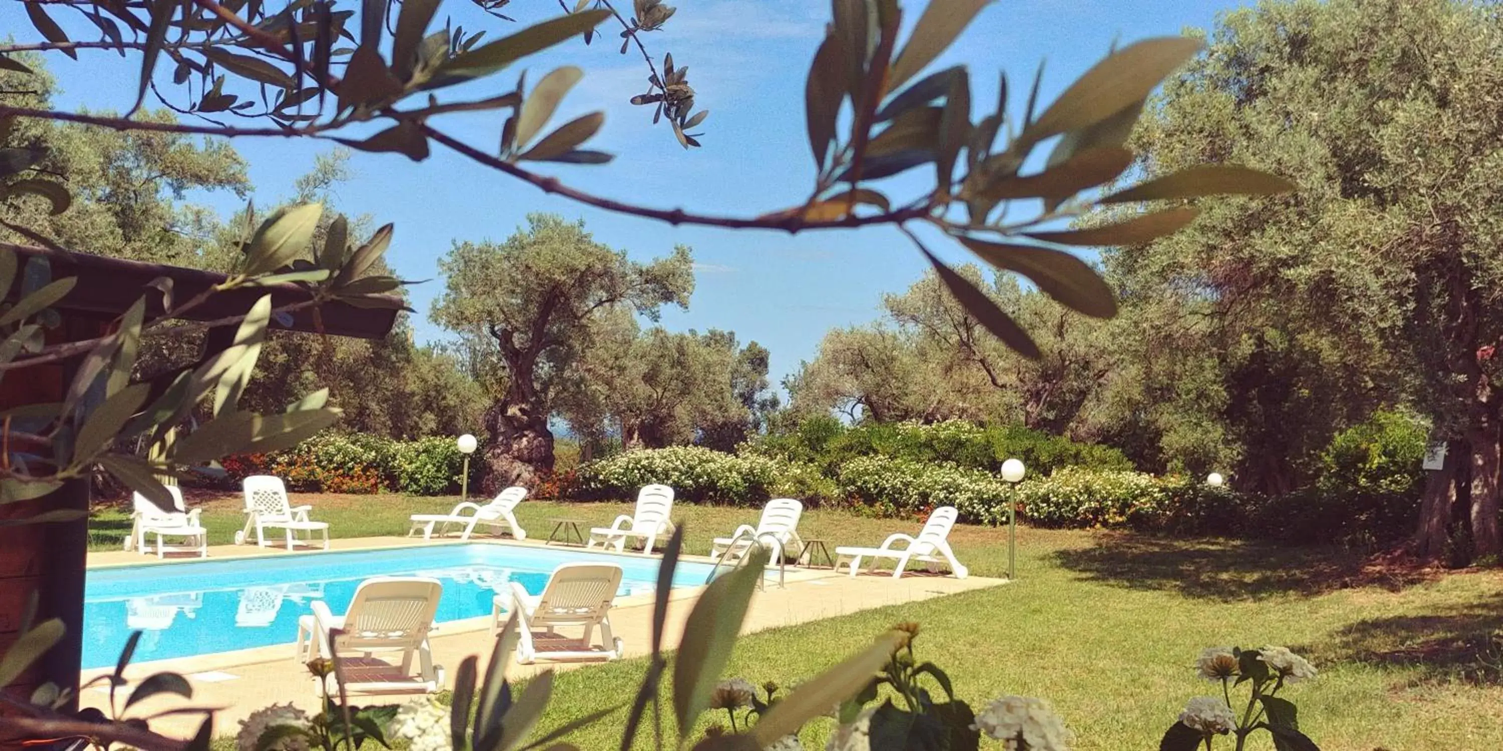 Pool view, Swimming Pool in La Piana degli Ulivi