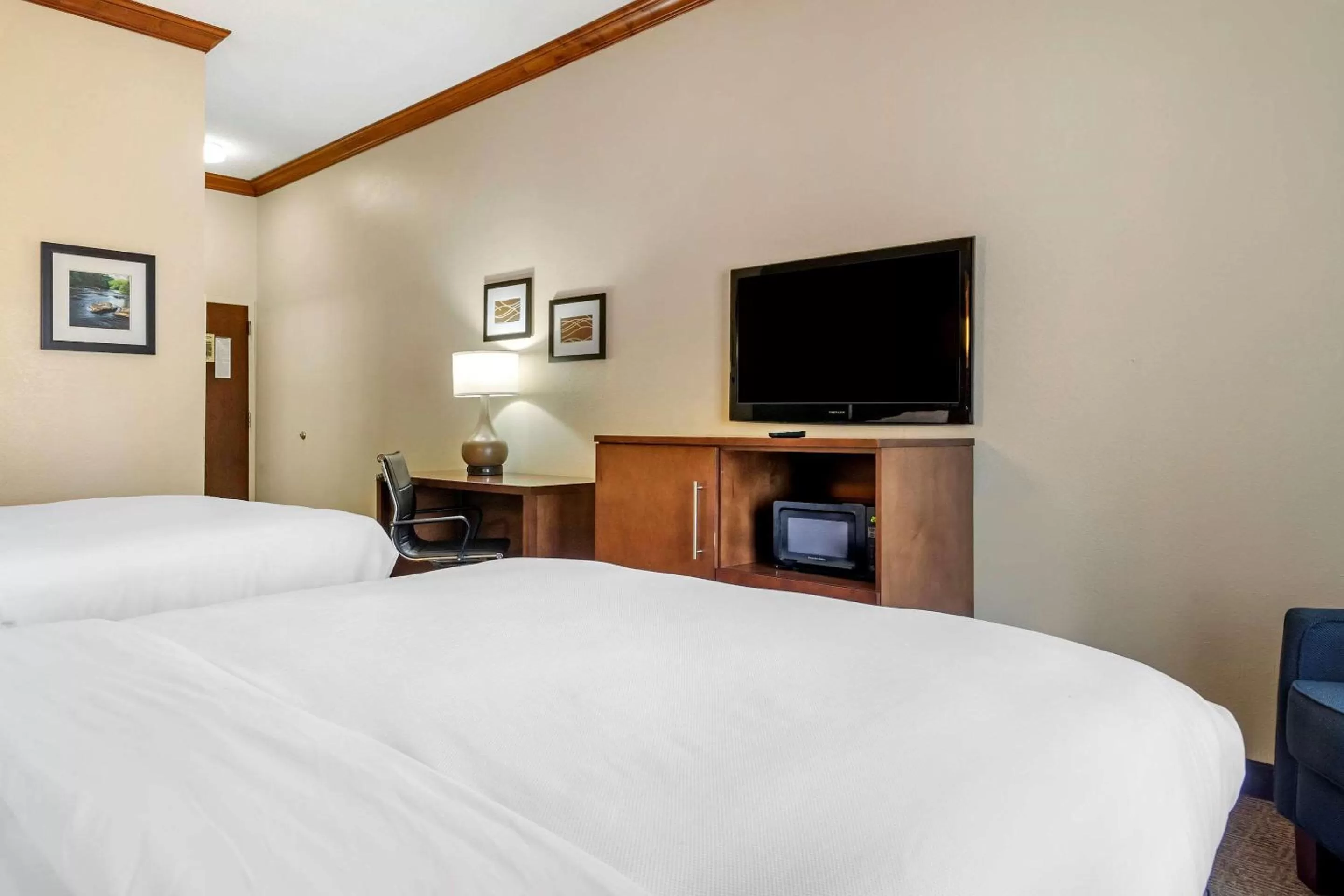 Photo of the whole room, Bed in Comfort Inn & Suites Statesboro - University Area