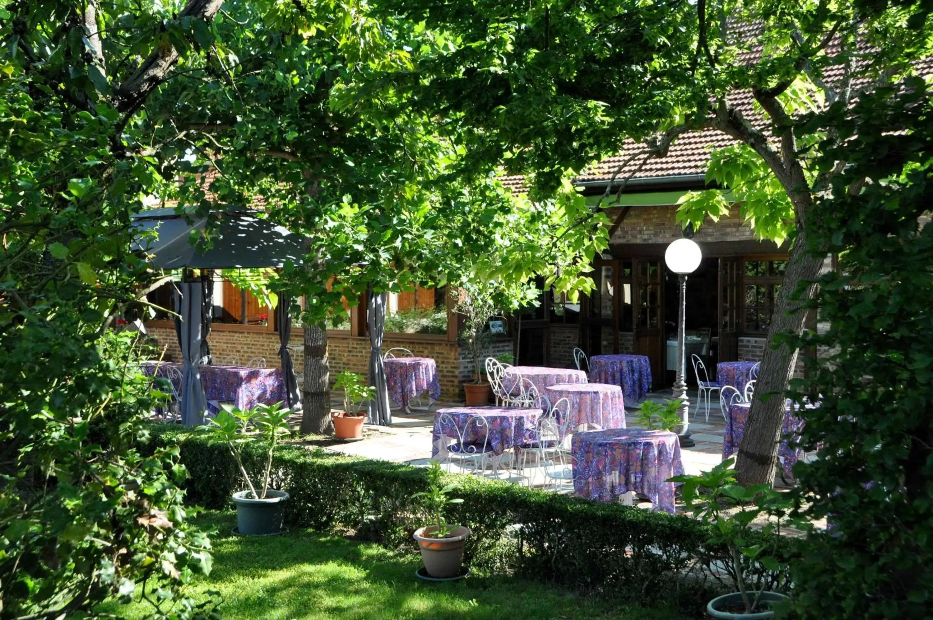 Patio, Patio/Outdoor Area in Hôtel Le Dahu