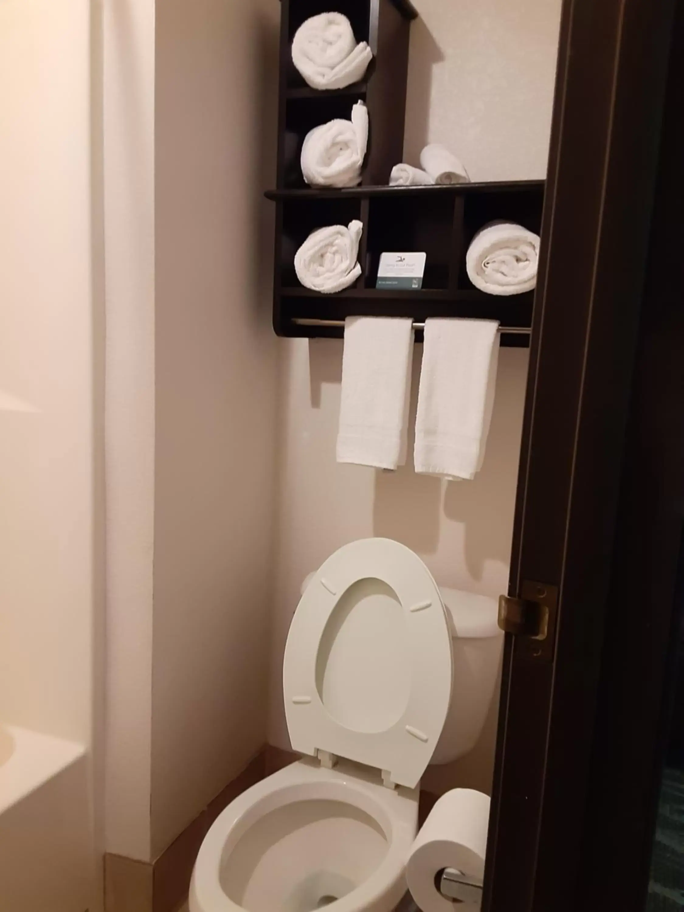 Toilet, Bathroom in Quality Inn & Suites