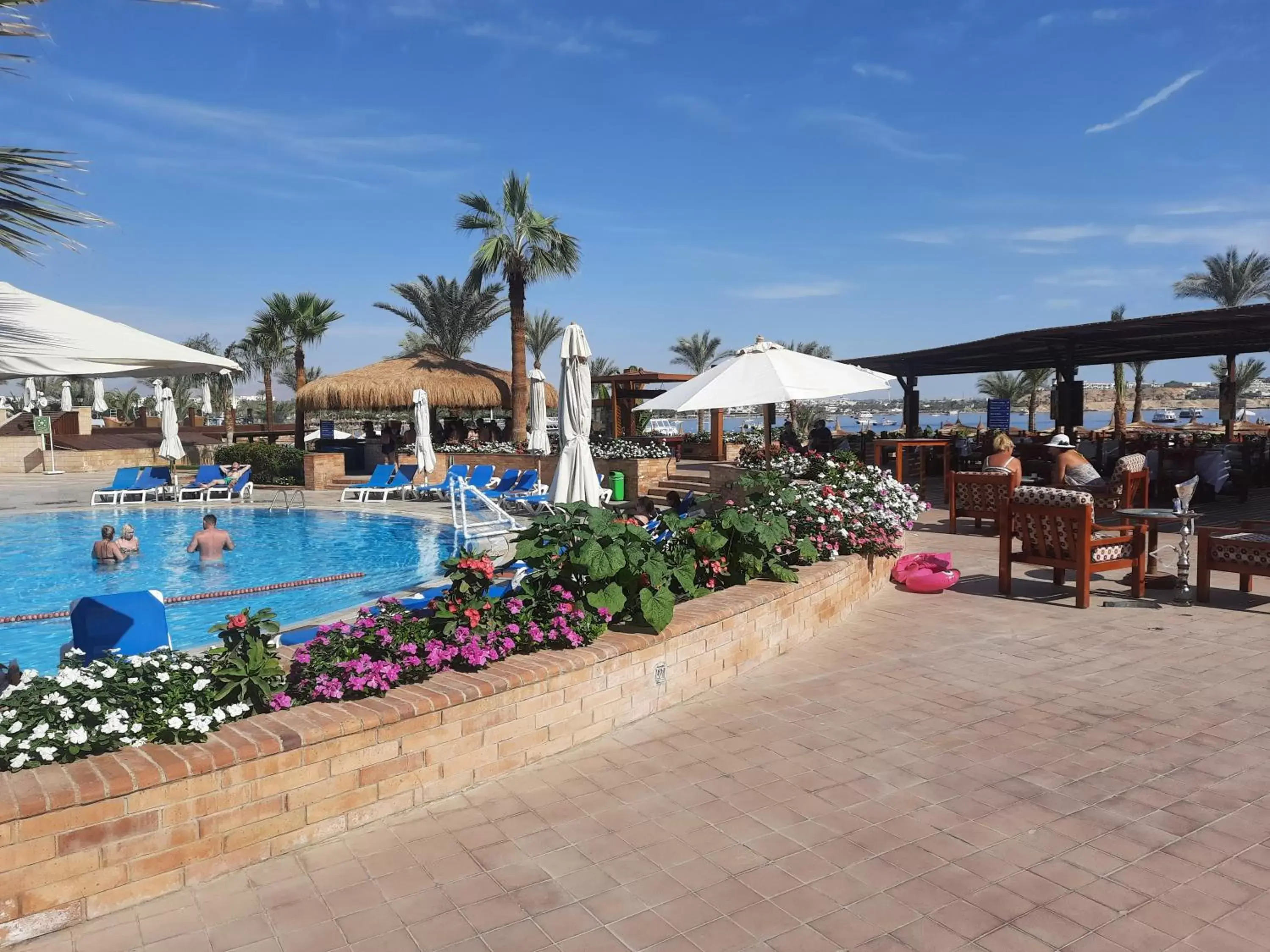 Swimming Pool in Marina Sharm Hotel