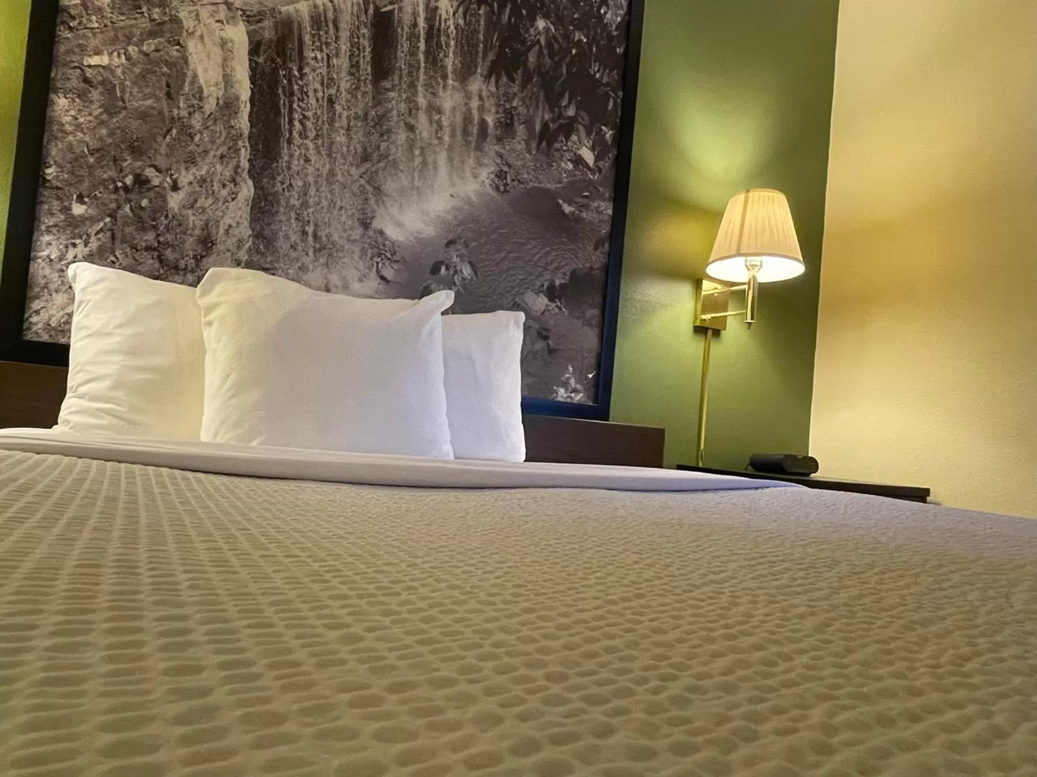 Bed in Super 8 by Wyndham Colby