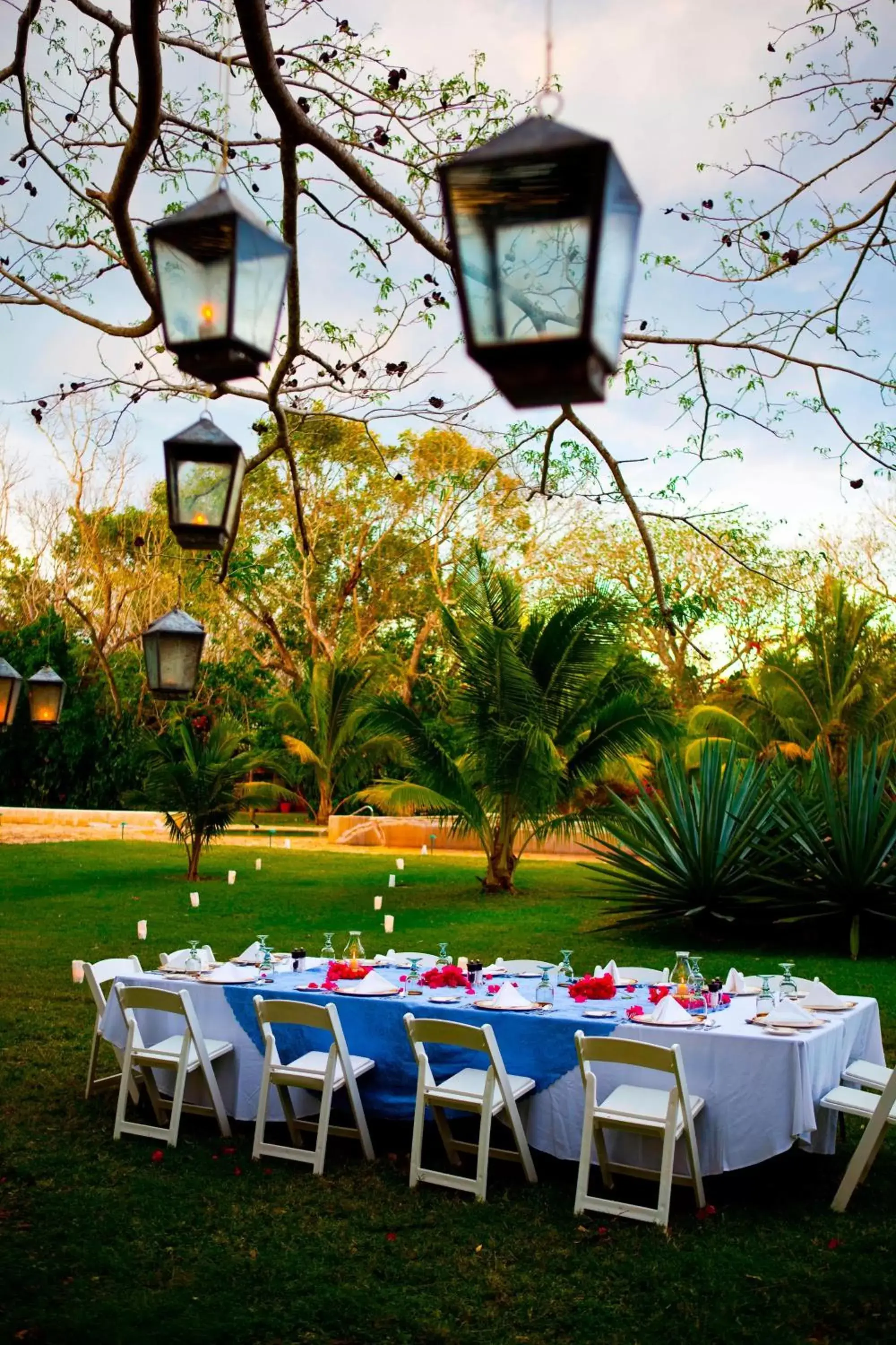 Restaurant/places to eat in Hacienda Temozon