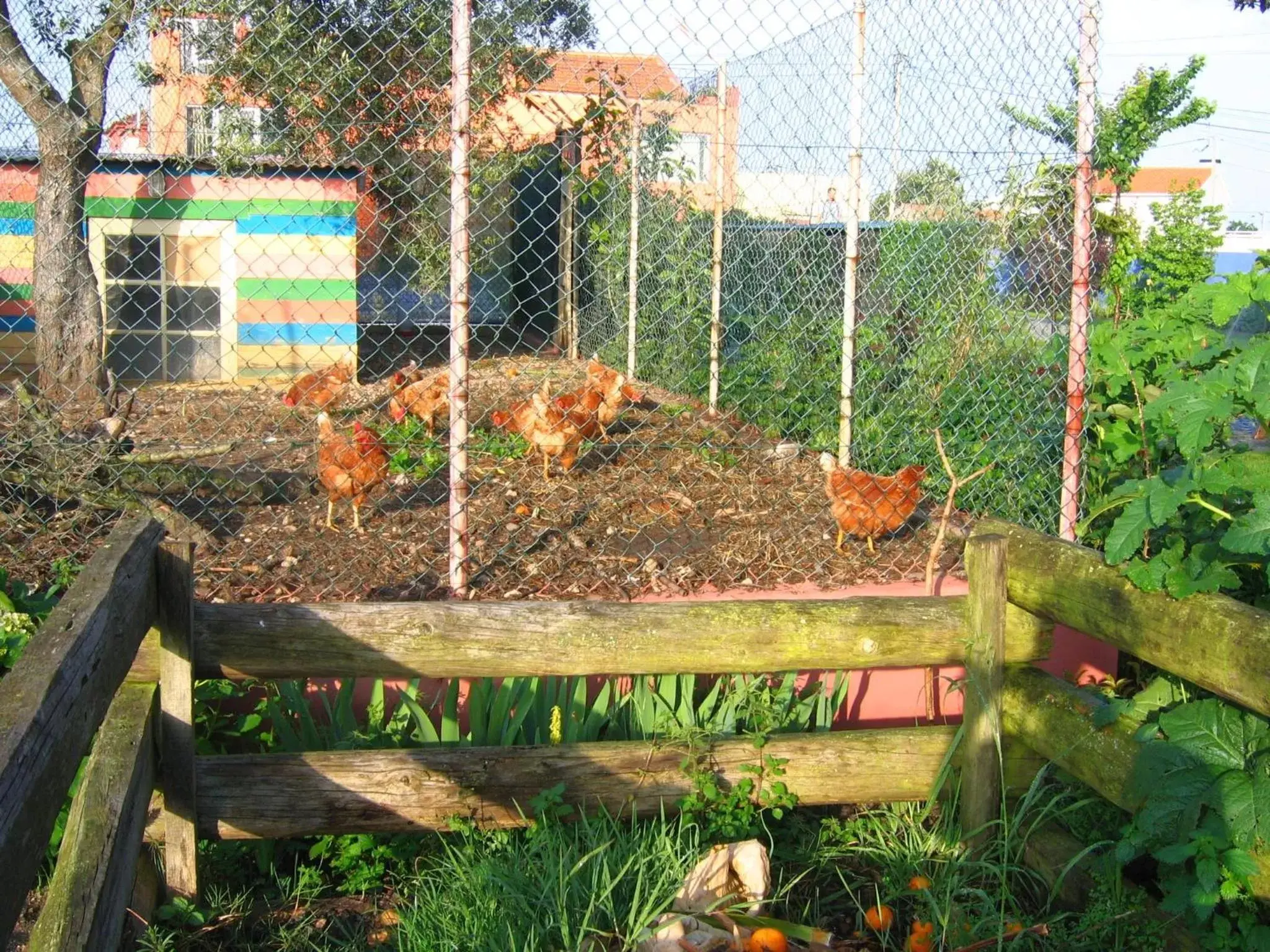 Pets in Casa 3 Águias