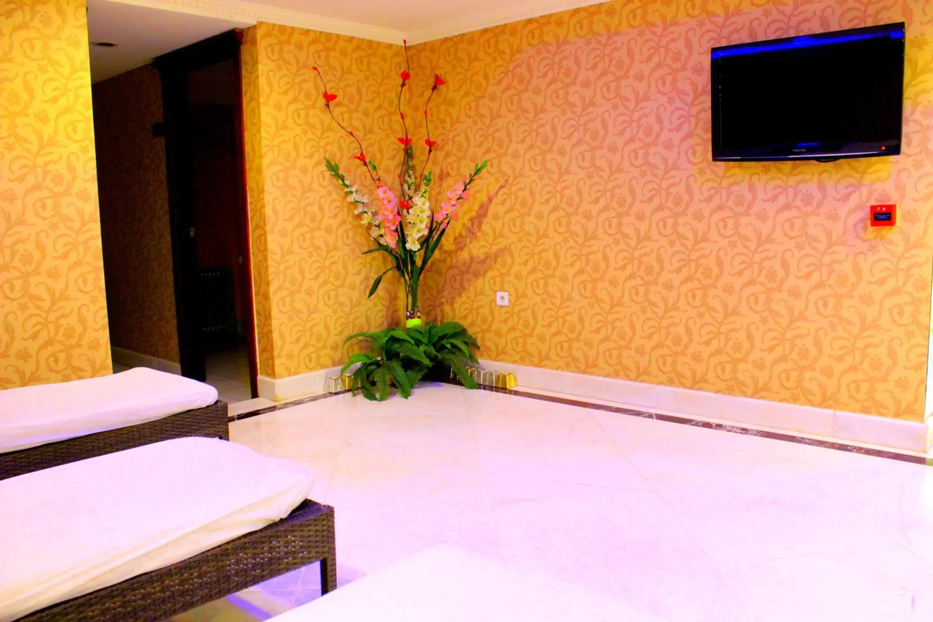 Spa and wellness centre/facilities, TV/Entertainment Center in Topkapi Inter Istanbul Hotel