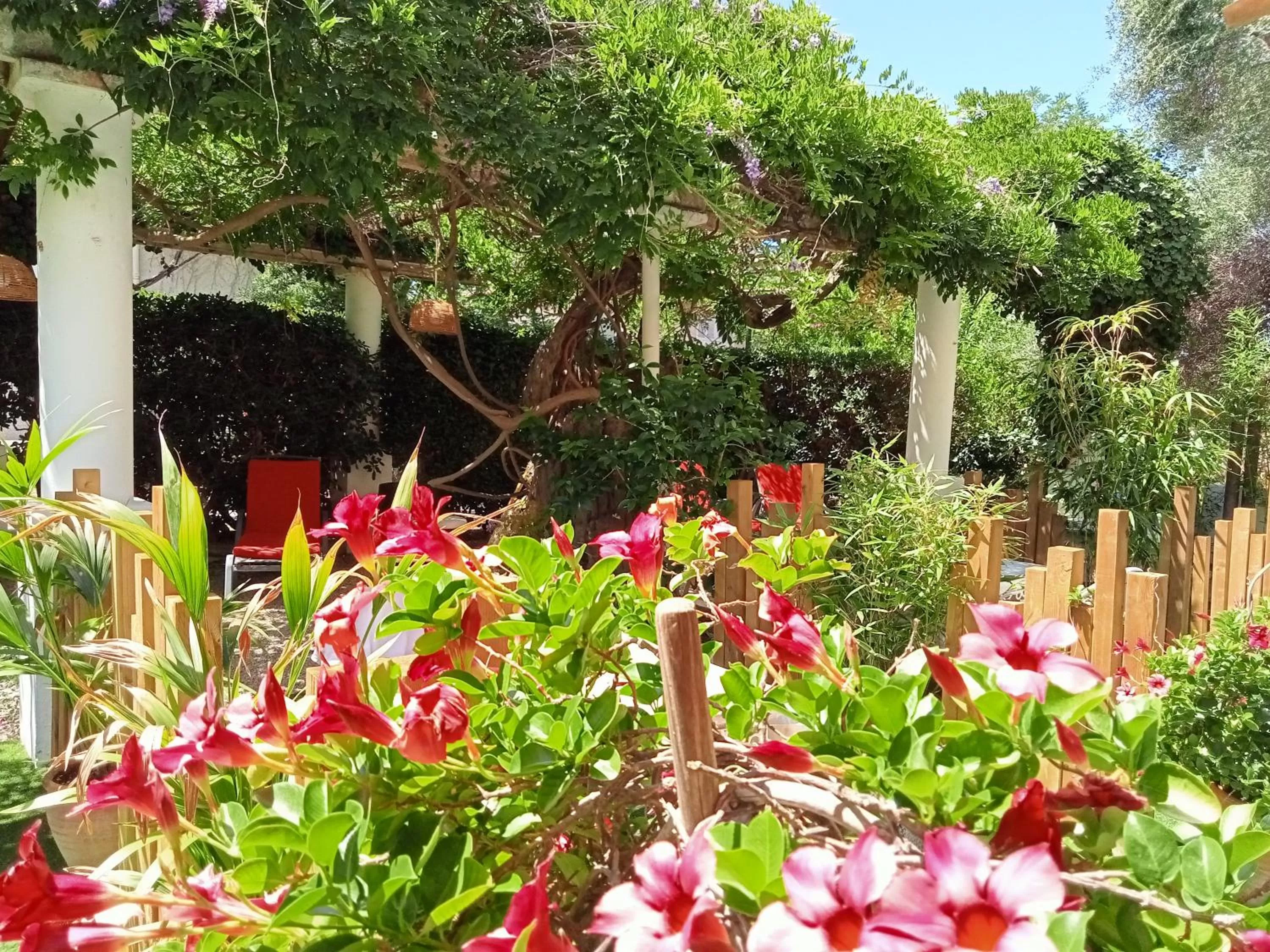 Garden in Chez Louis