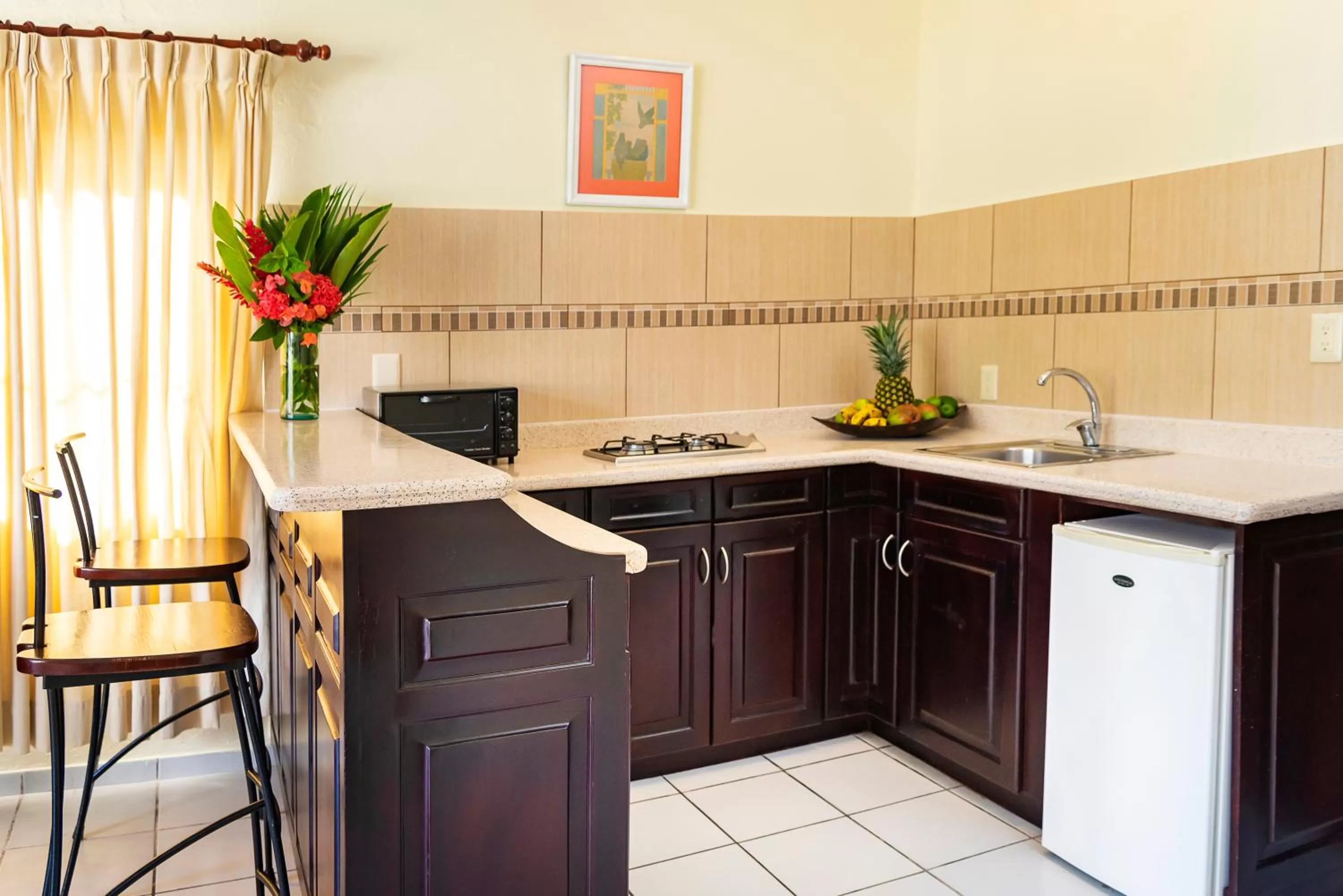 Cabarete Palm Beach Condos