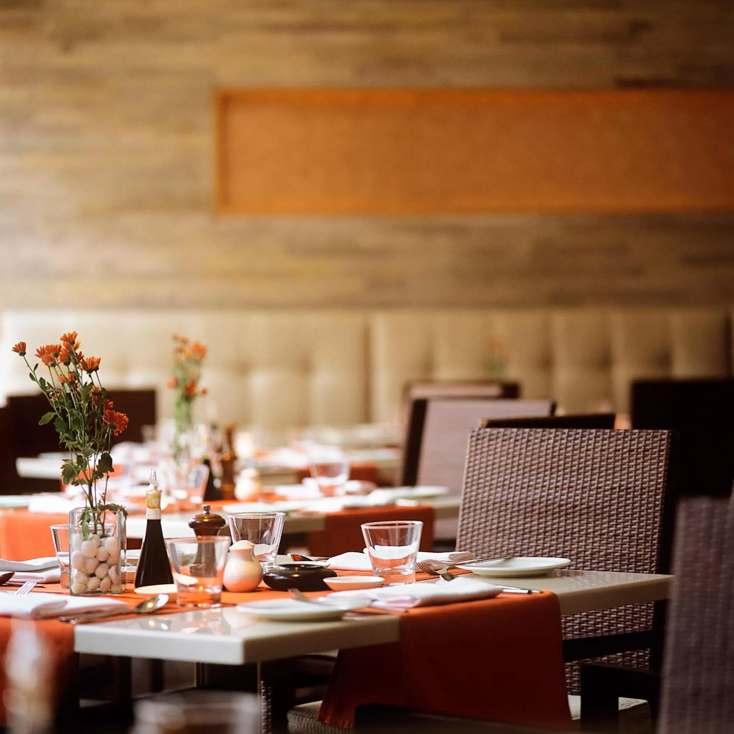 Restaurant/places to eat in Trident Chennai Restaurant/places to eat in Trident Chennai