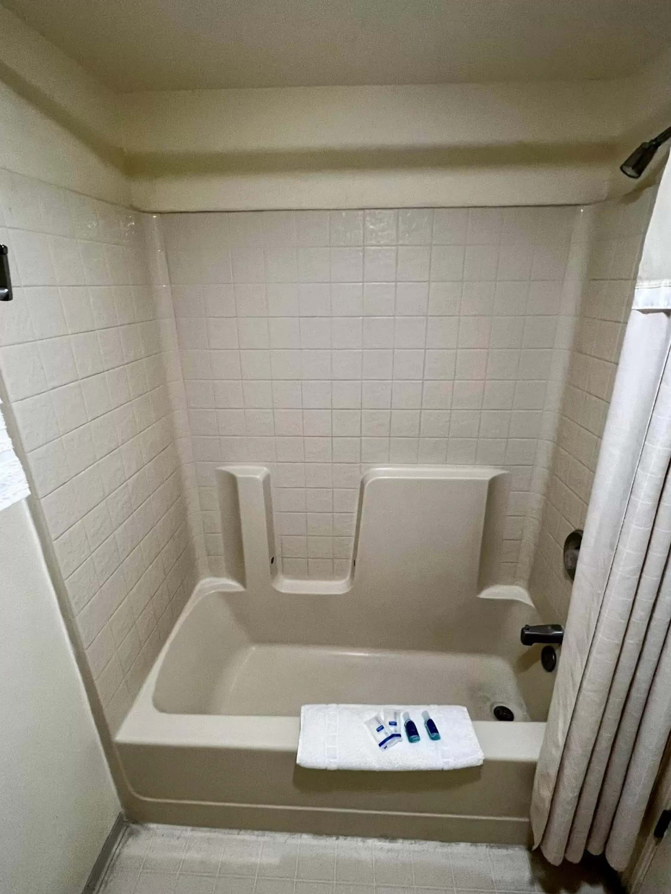 Shower, Bathroom in Rodeway Inn - Santa Fe Inn
