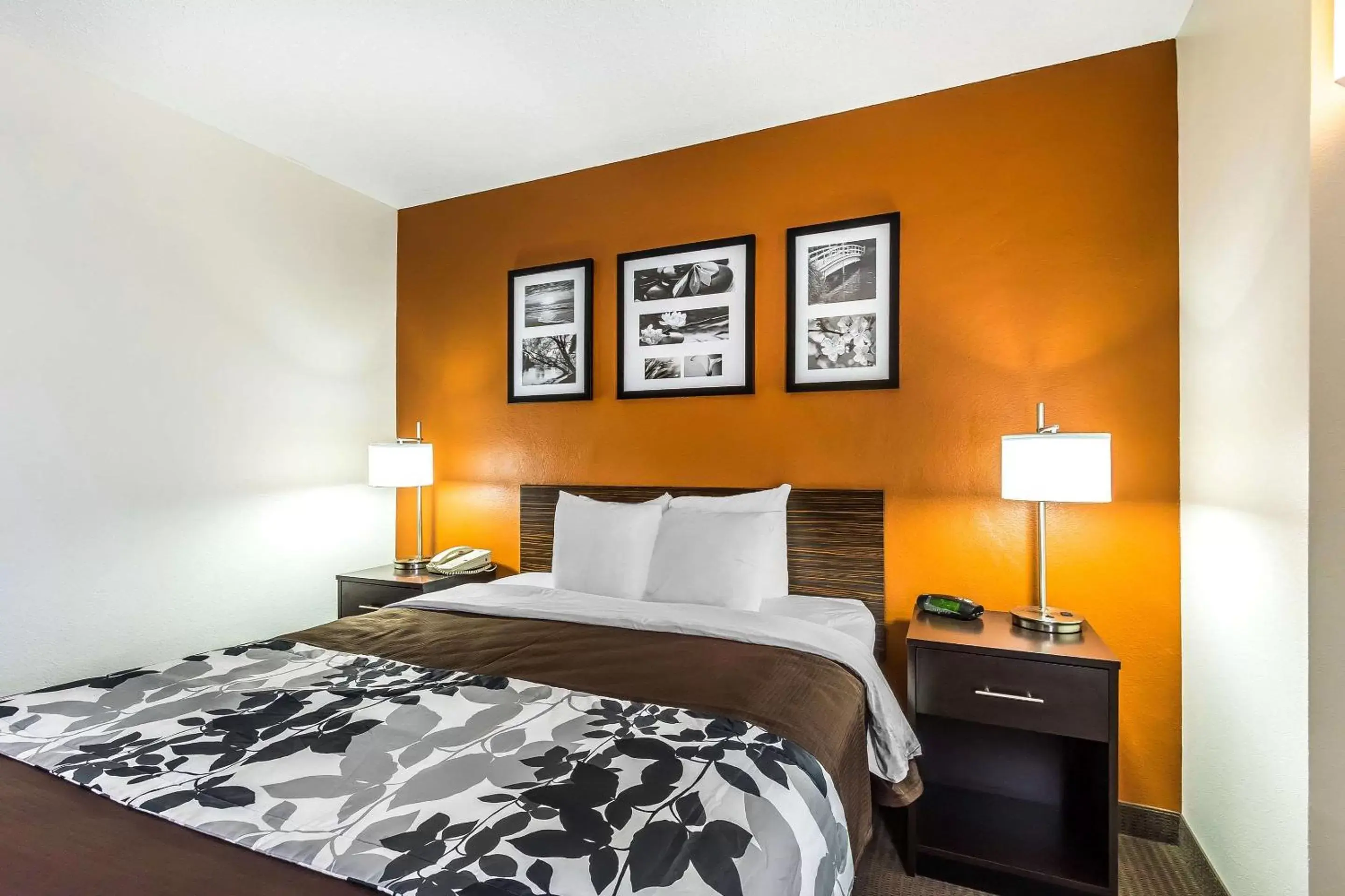 Queen Room with Accessible Tub - Accessible/Non-Smoking in Sleep Inn Springfield South I60 near Medical District Queen Room with Accessible Tub - Accessible/Non-Smoking in Sleep Inn Springfield South I60 near Medical District