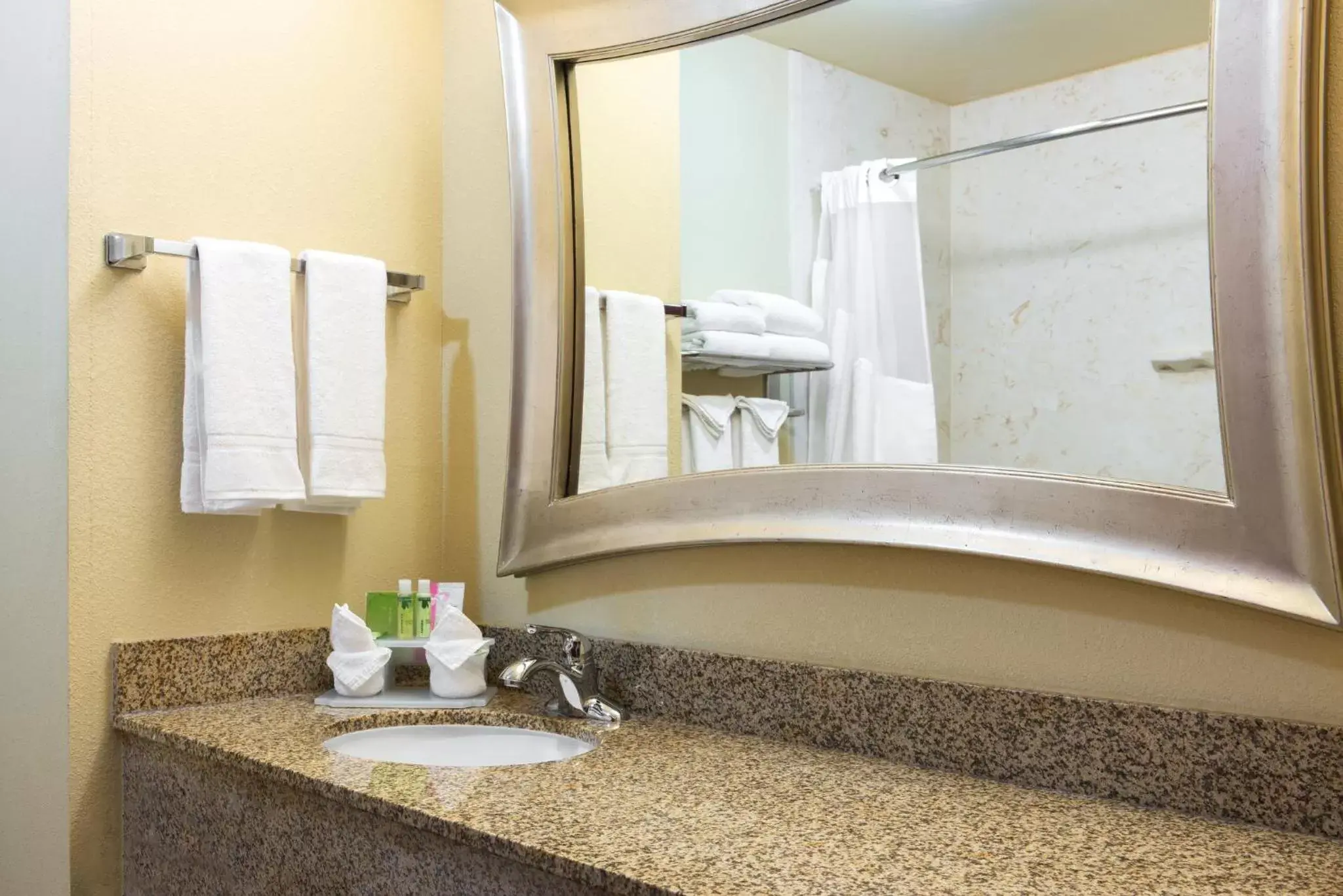 Bathroom in Holiday Inn Express & Suites Lexington Downtown Area-Keeneland, an IHG Hotel