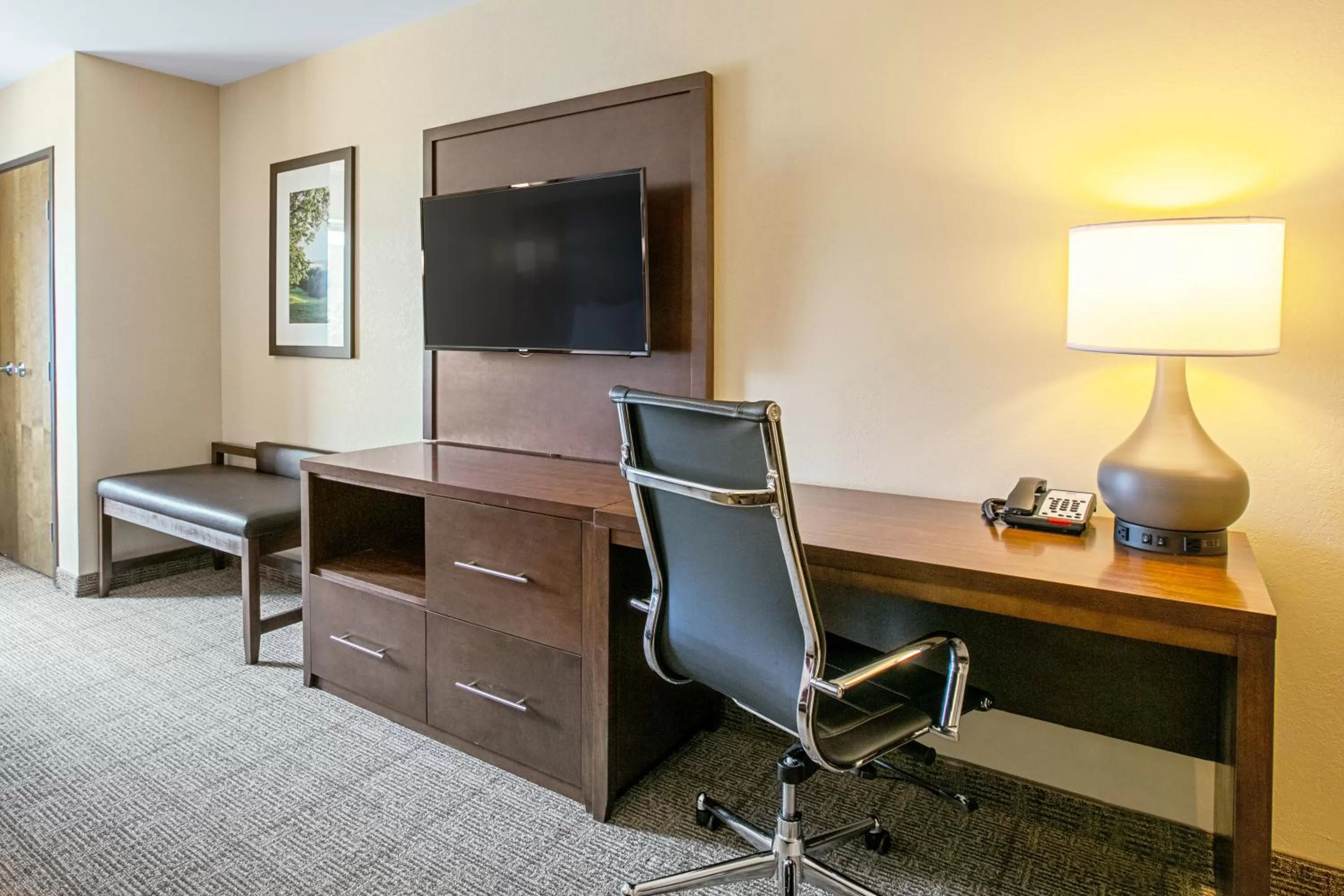 TV and multimedia in Comfort Suites Fishkill near Interstate 84