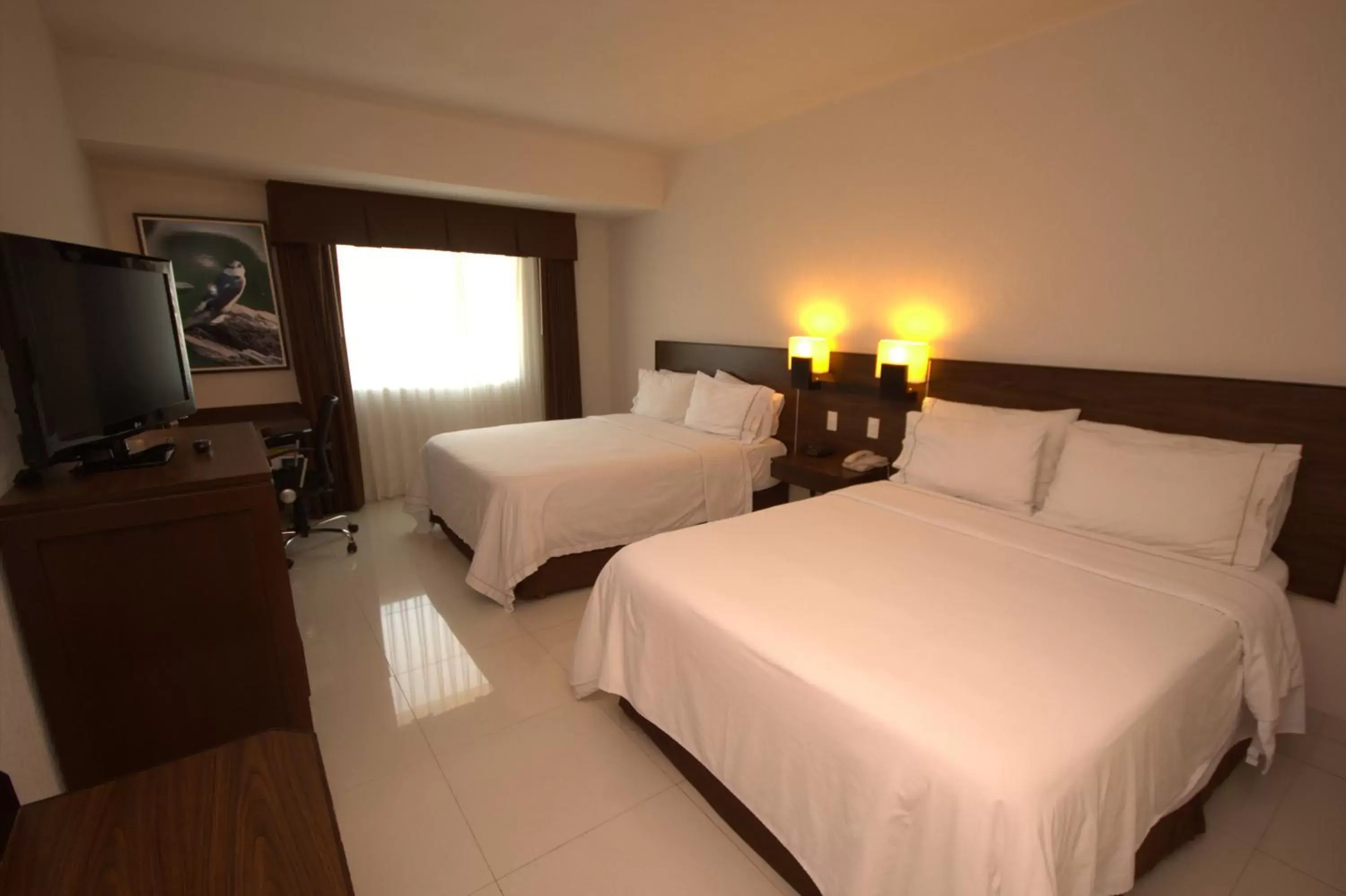 Photo of the whole room, Bed in Holiday Inn Express Tuxtla Gutierrez La Marimba, an IHG Hotel