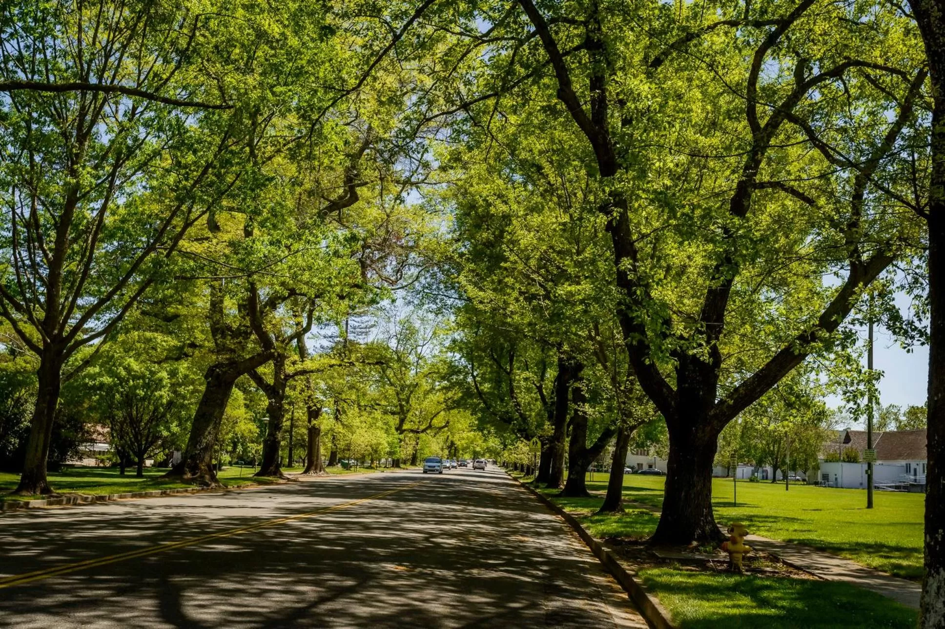 Neighbourhood in The Jack London Lodge