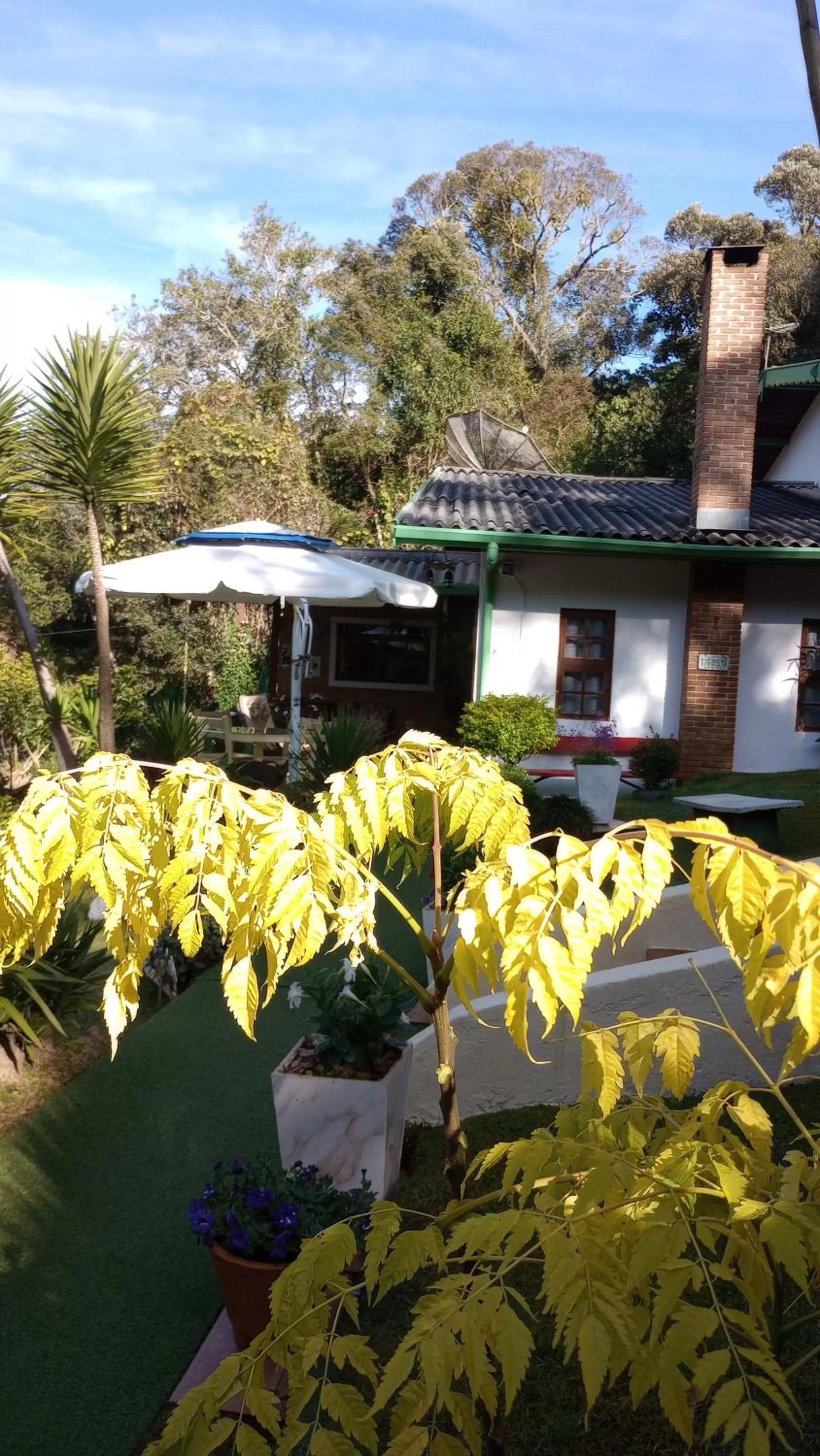 Property Building in Rancho da Raposa