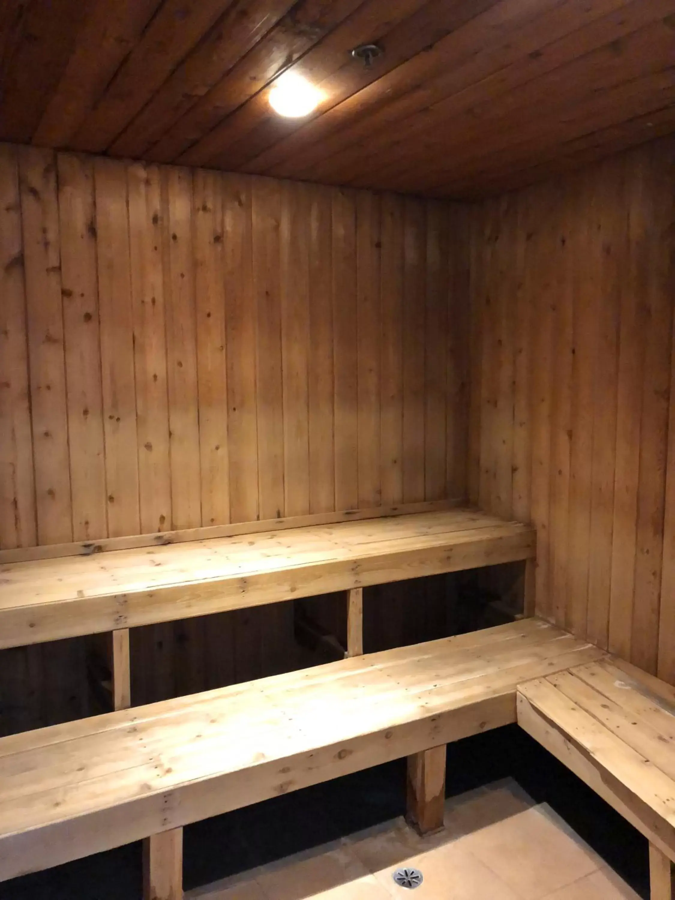 Sauna in Hotel L'Oie des neiges